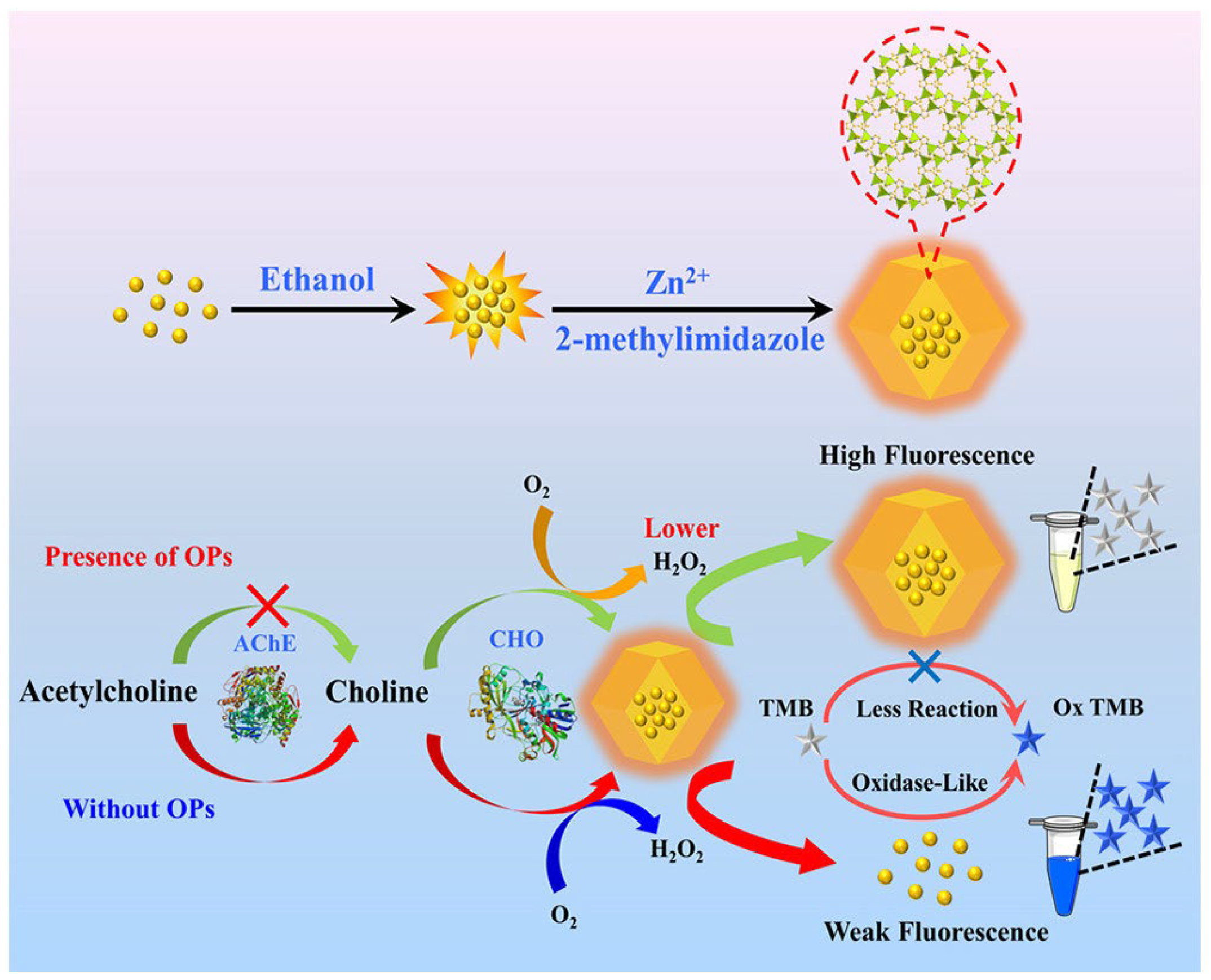 Nanomaterials 15 01512 g024