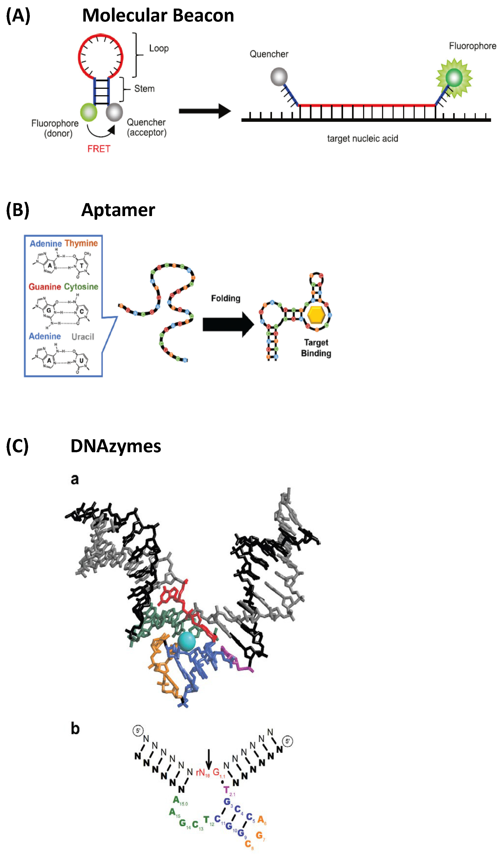 Nanomaterials 15 01512 g026