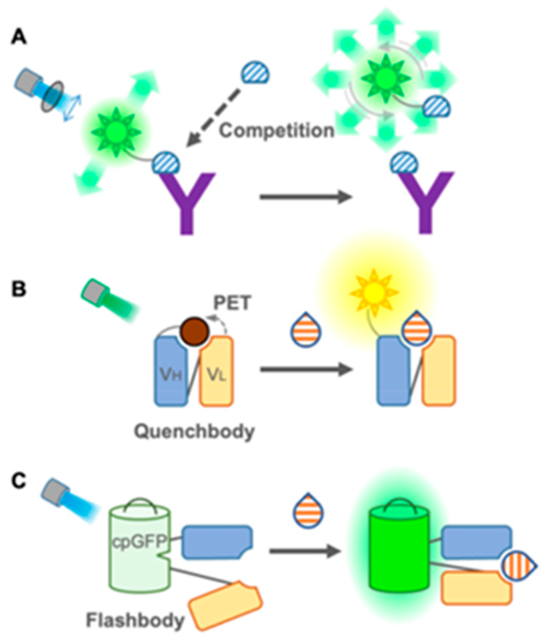 Nanomaterials 15 01512 g028