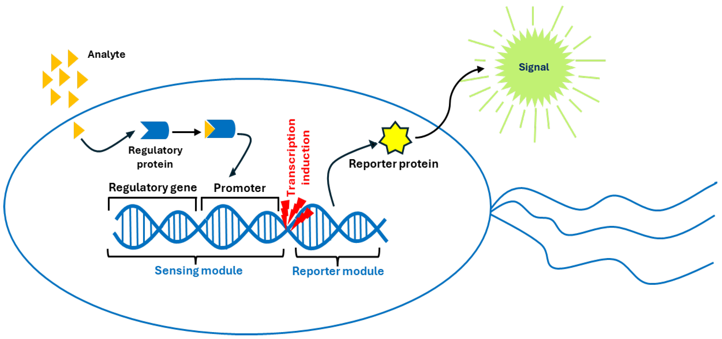 Nanomaterials 15 01512 g029