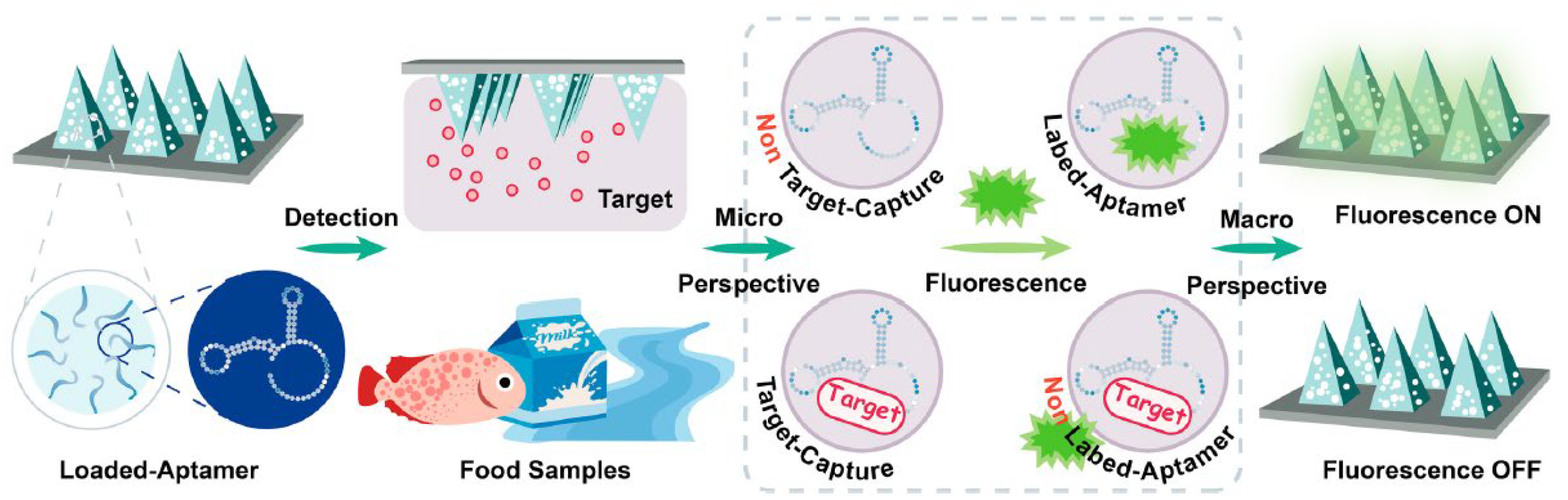 Nanomaterials 15 01512 g030