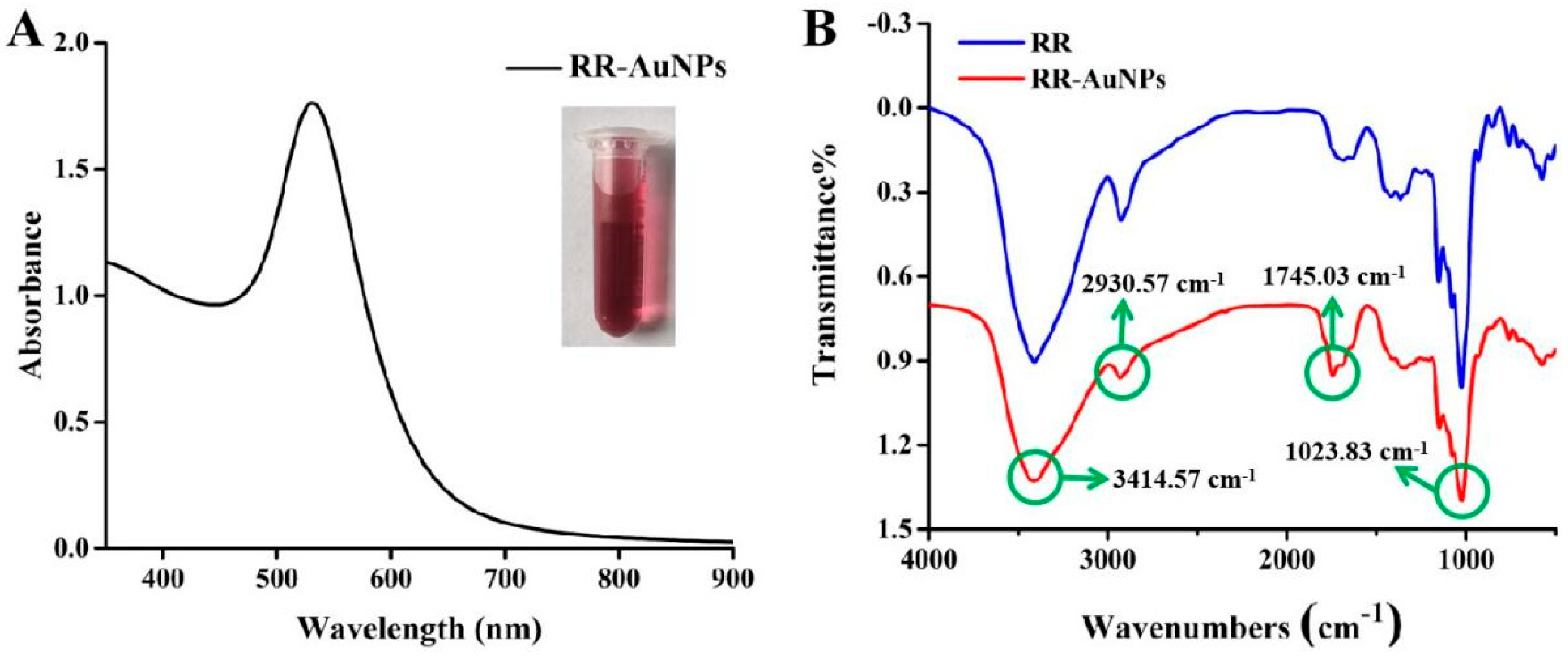 Nanomaterials 15 01513 g001