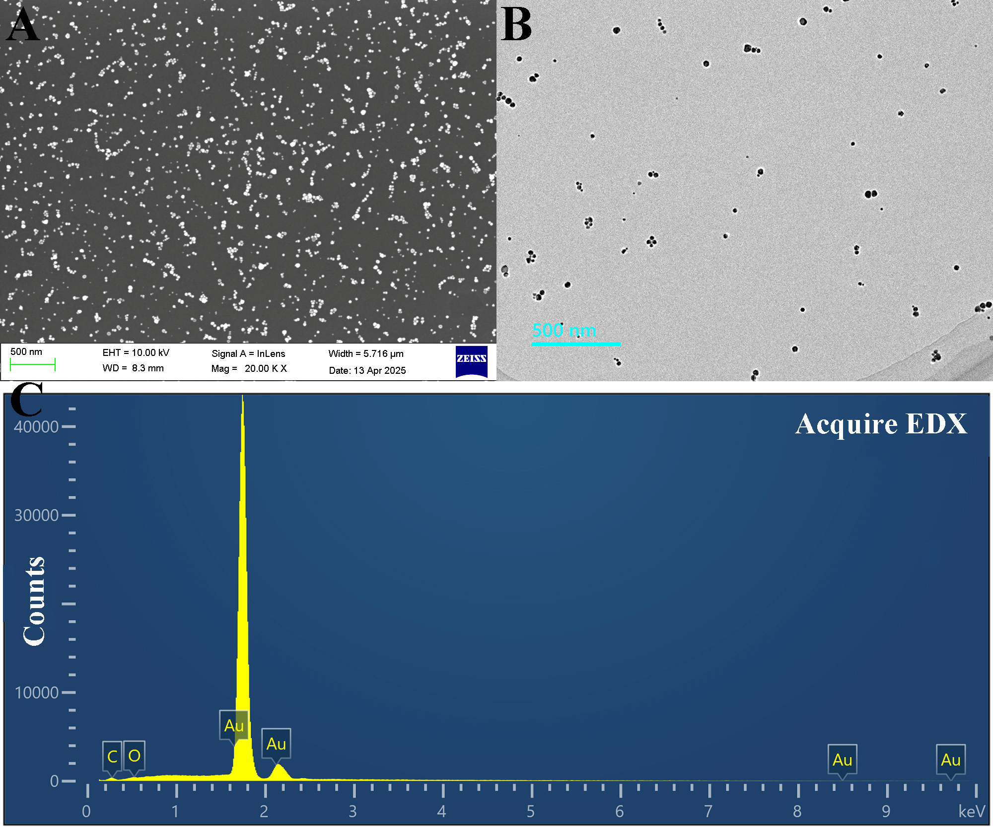 Nanomaterials 15 01513 g002