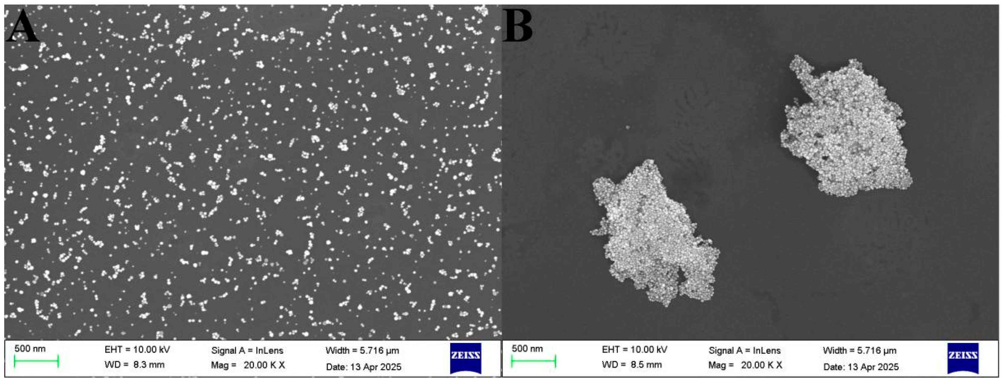 Nanomaterials 15 01513 g006