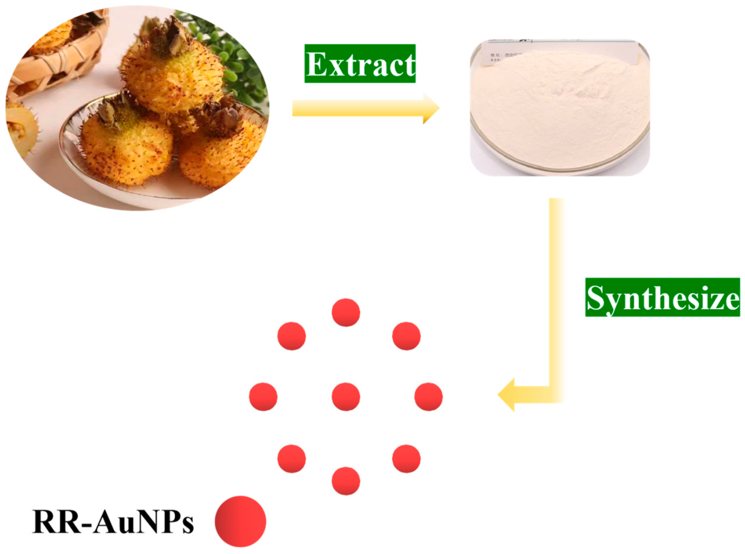 Nanomaterials 15 01513 sch001