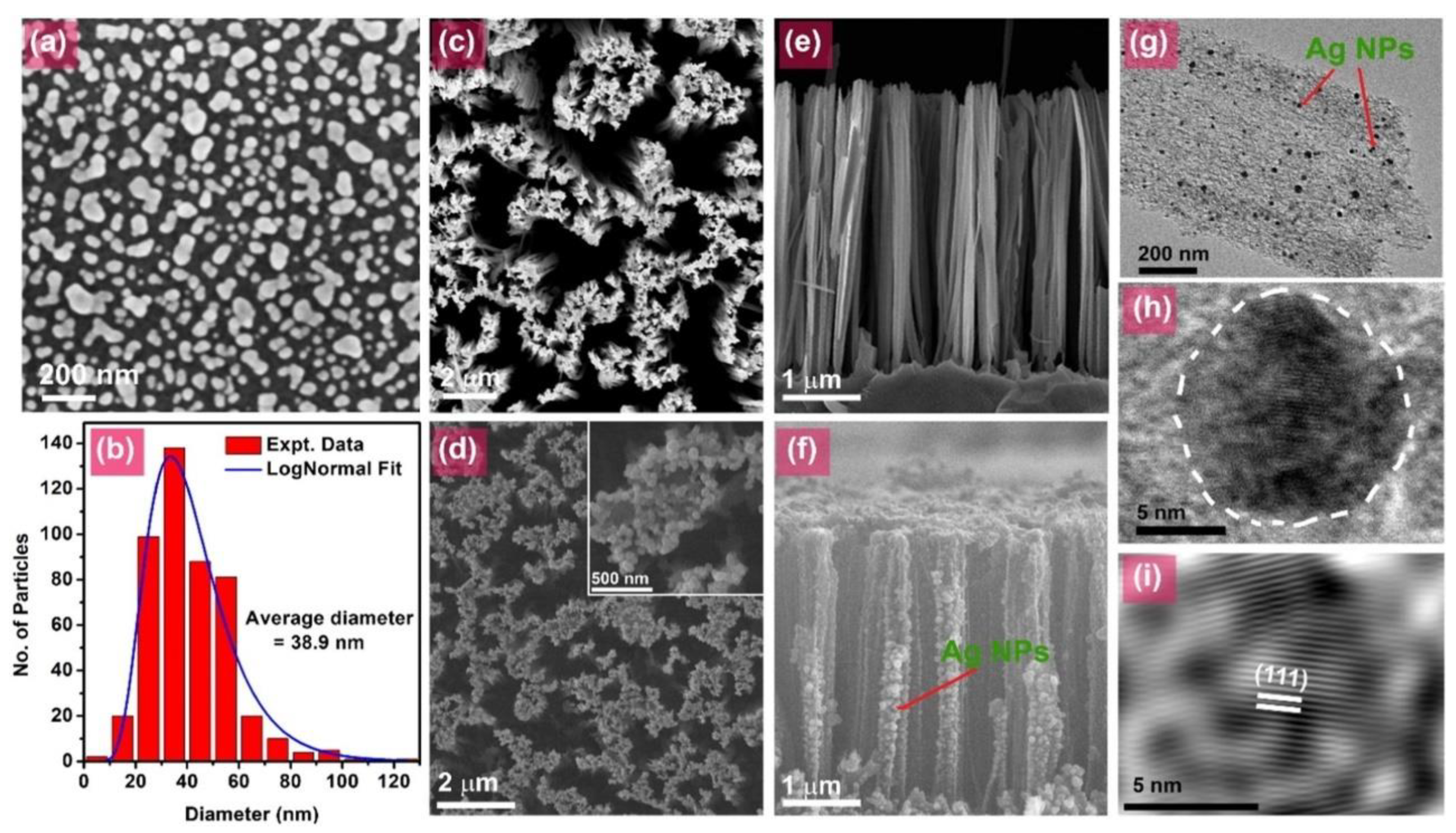 Nanomaterials 15 01514 g003 Nanomaterials 15 01514 g003