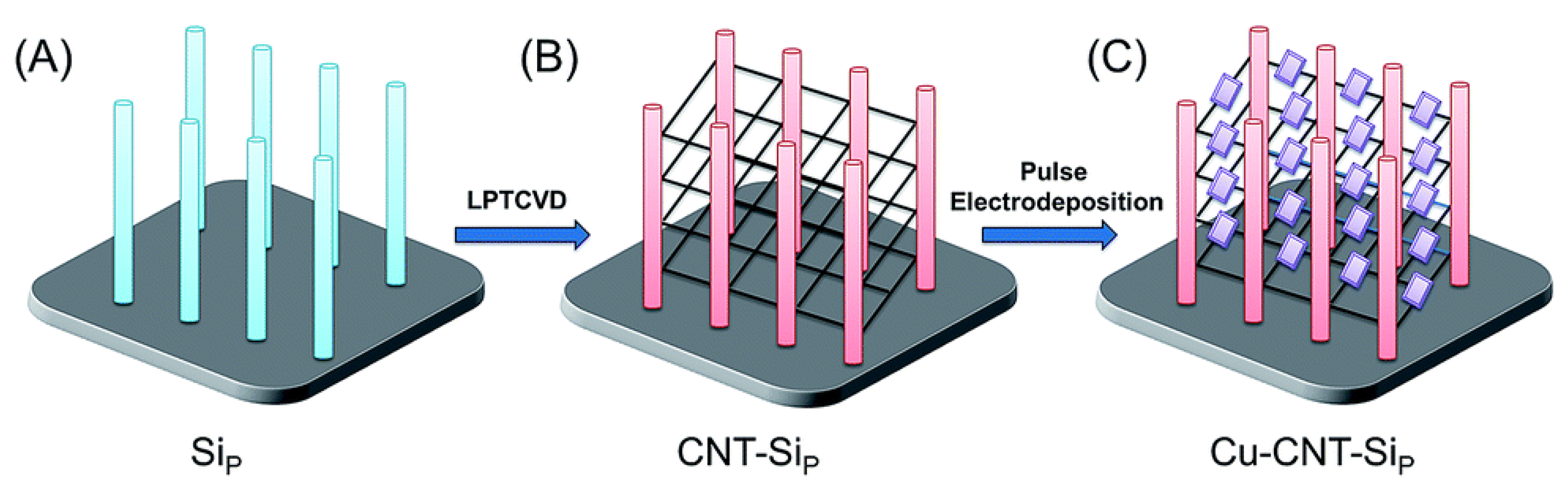 Nanomaterials 15 01514 g005 Nanomaterials 15 01514 g005