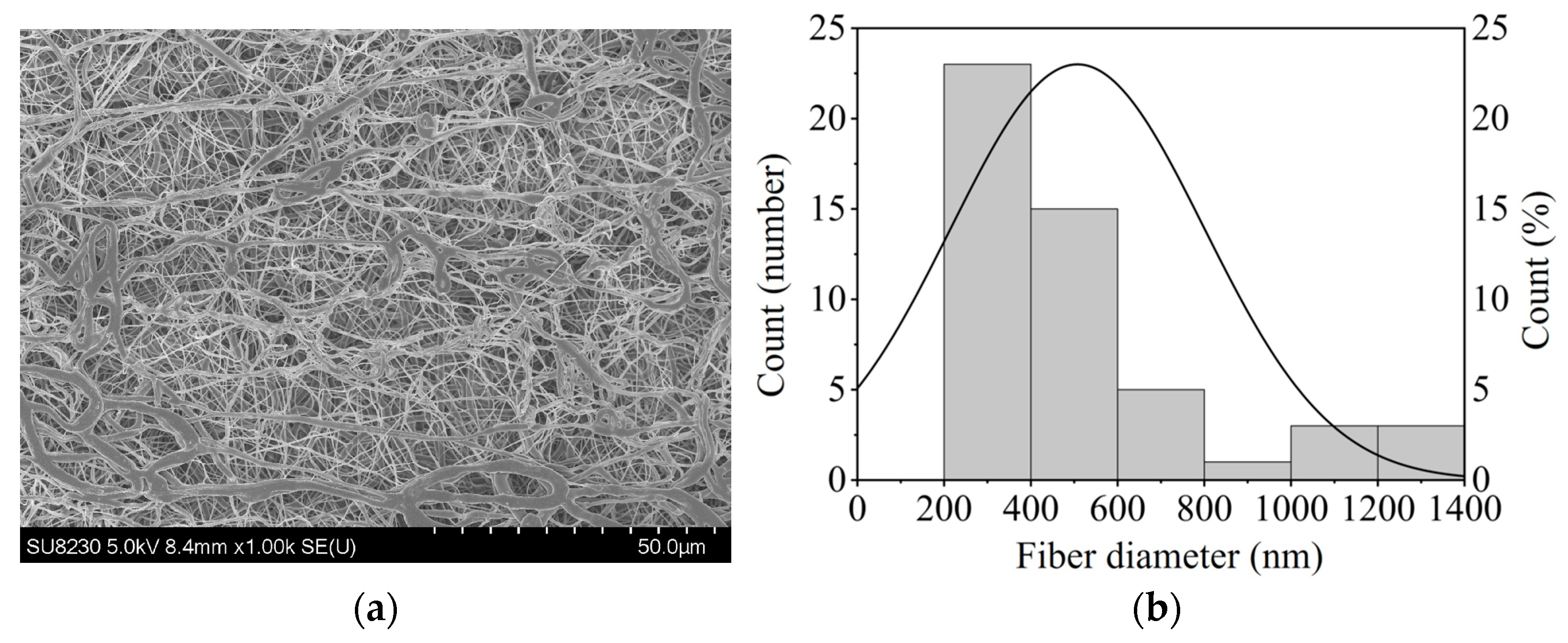 Nanomaterials 15 01524 g001 Nanomaterials 15 01524 g001