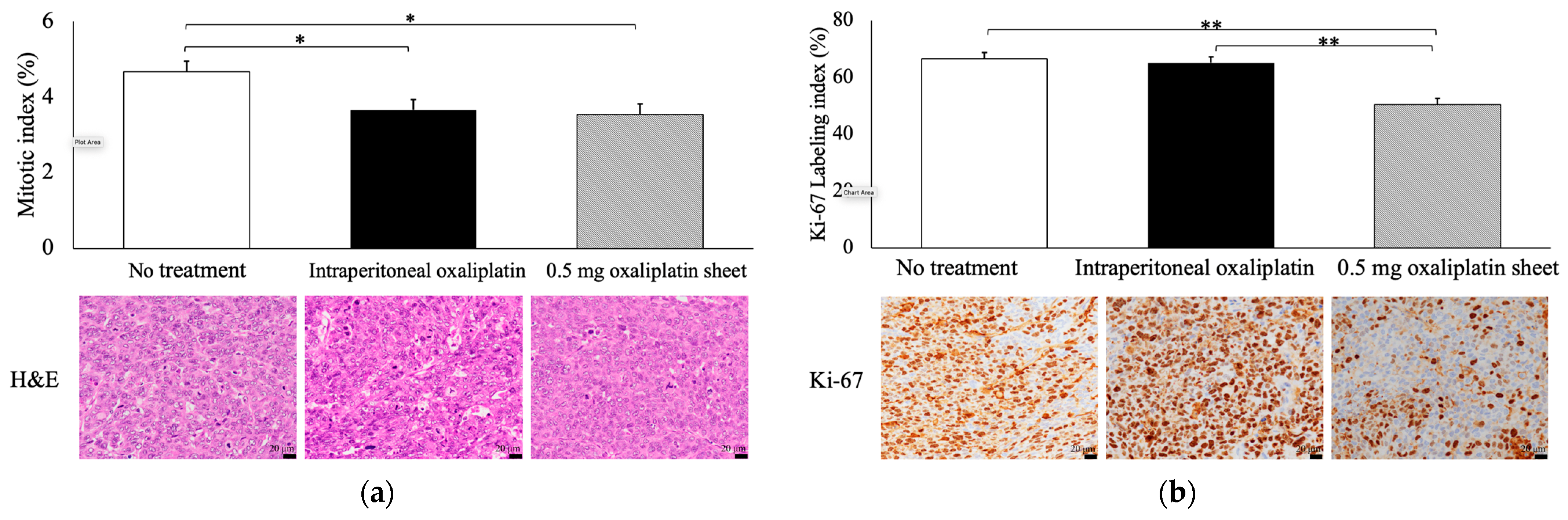Nanomaterials 15 01524 g004 Nanomaterials 15 01524 g004