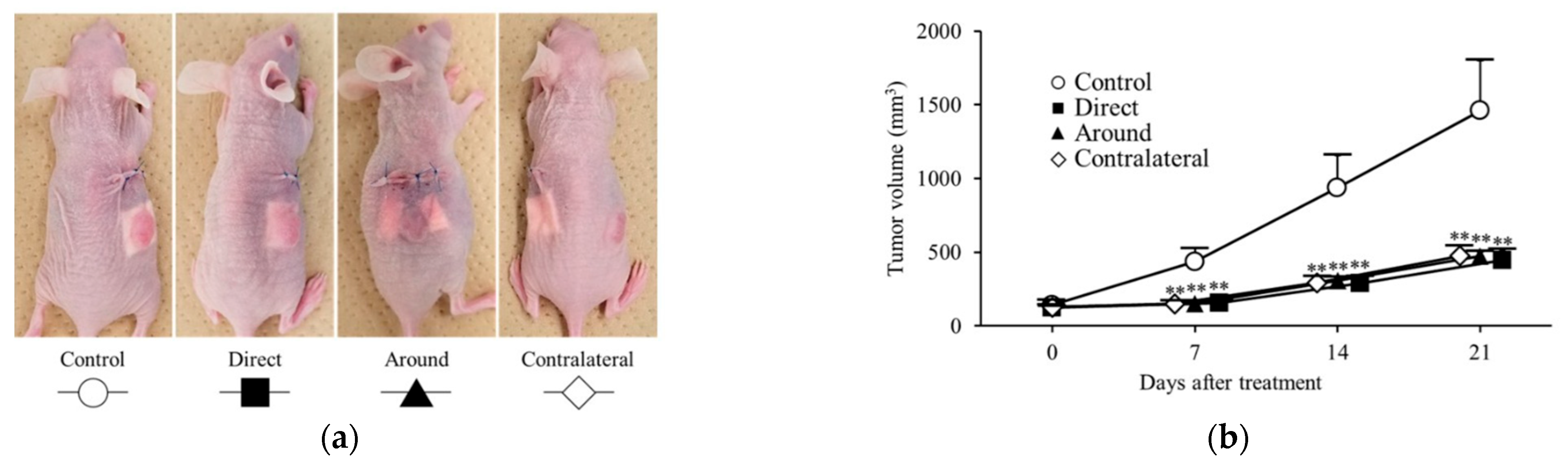 Nanomaterials 15 01524 g006 Nanomaterials 15 01524 g006