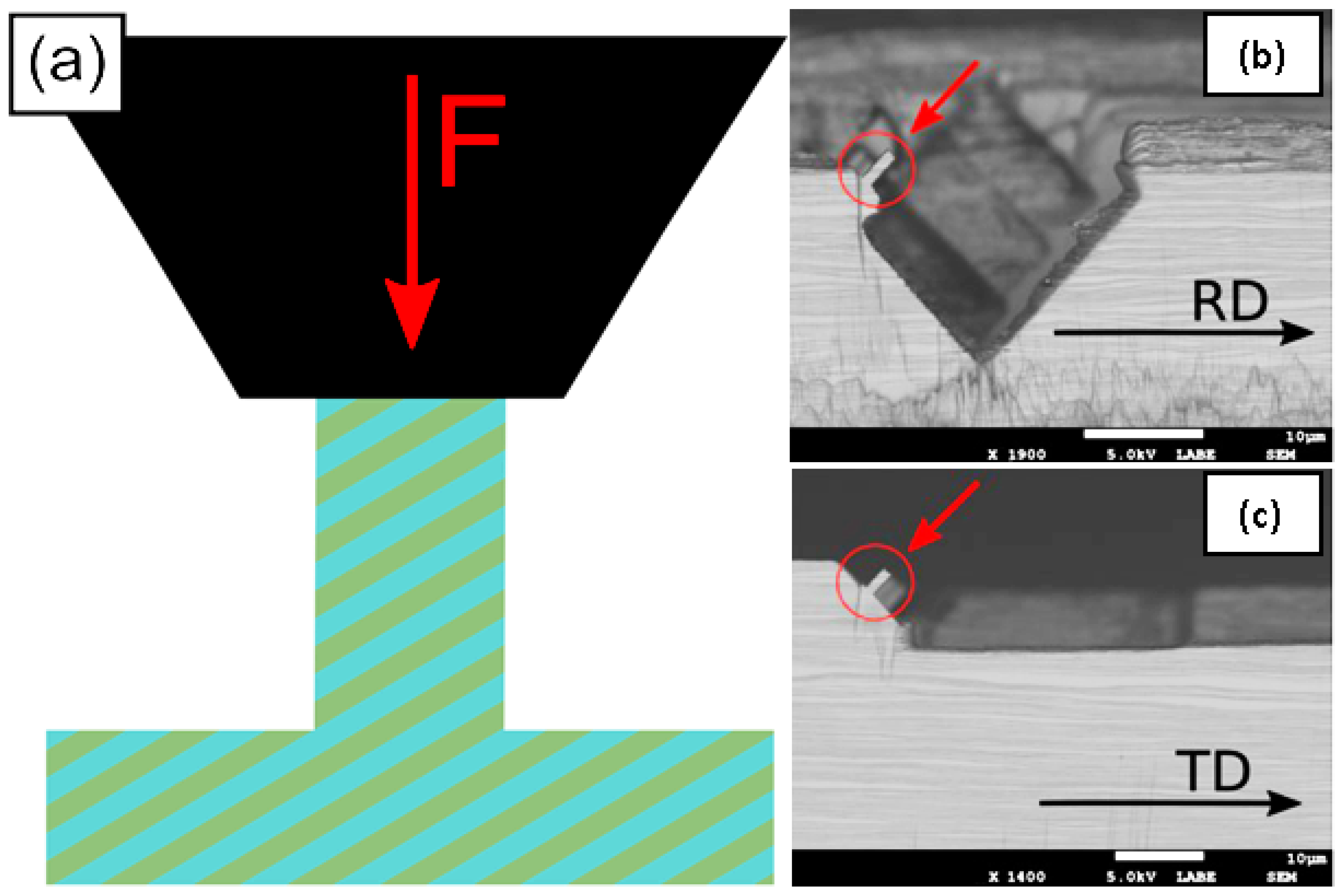 Nanomaterials 15 01528 g001