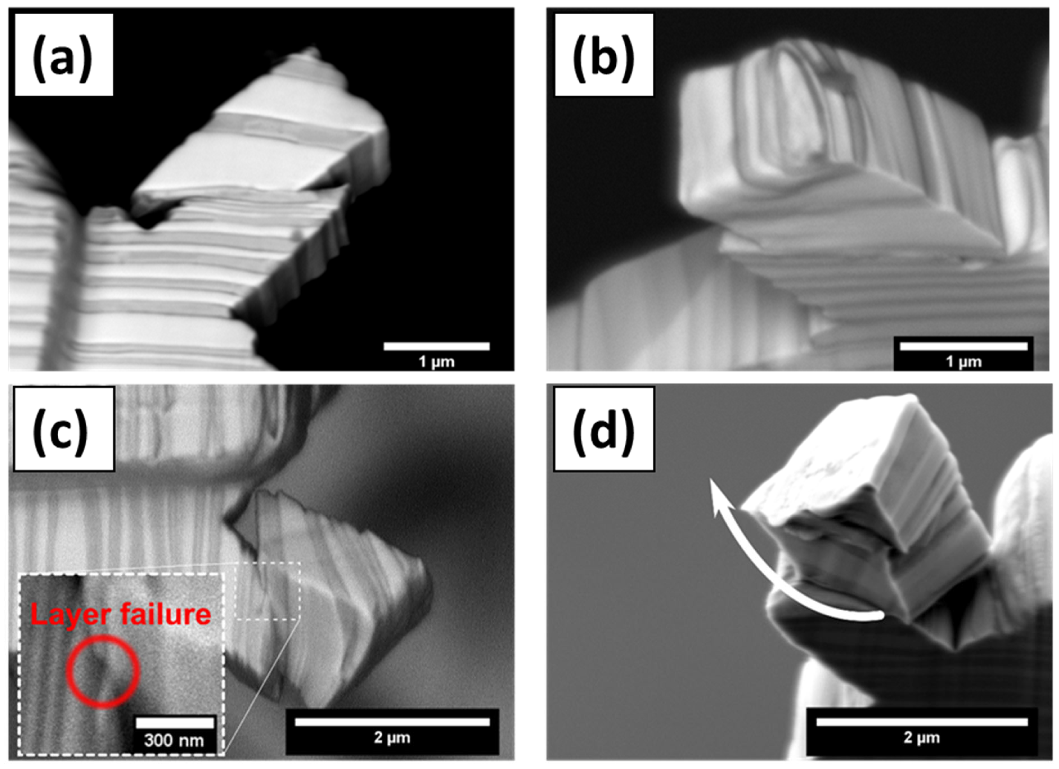 Nanomaterials 15 01528 g003