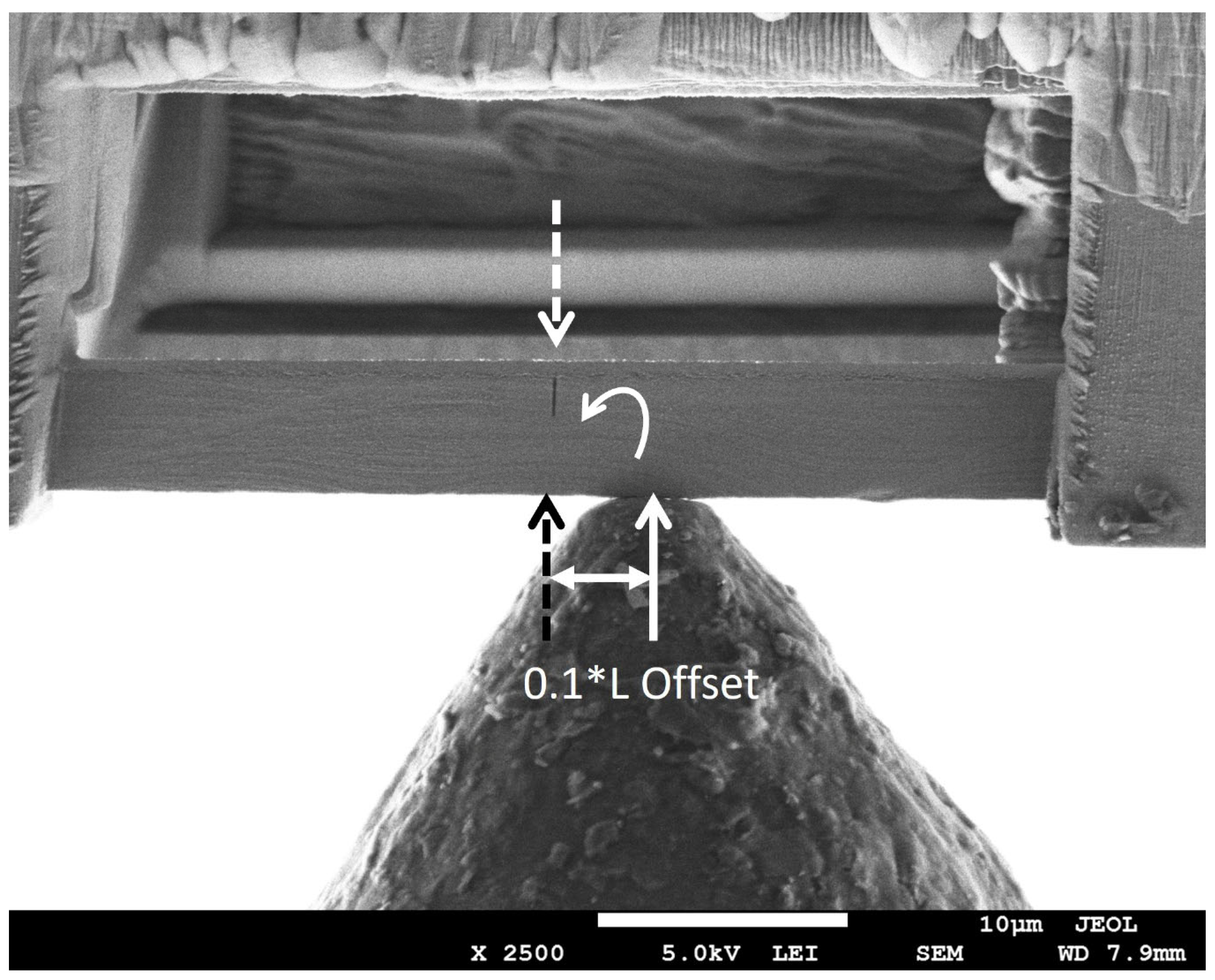 Nanomaterials 15 01528 g006