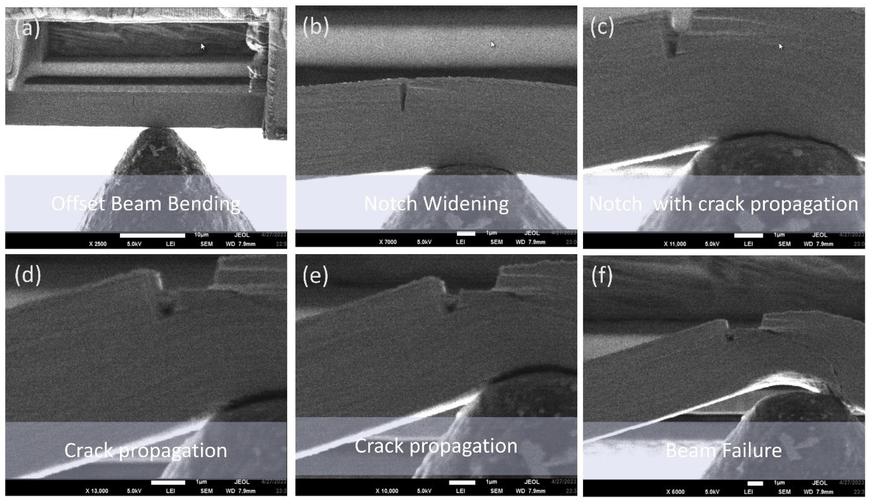 Nanomaterials 15 01528 g007