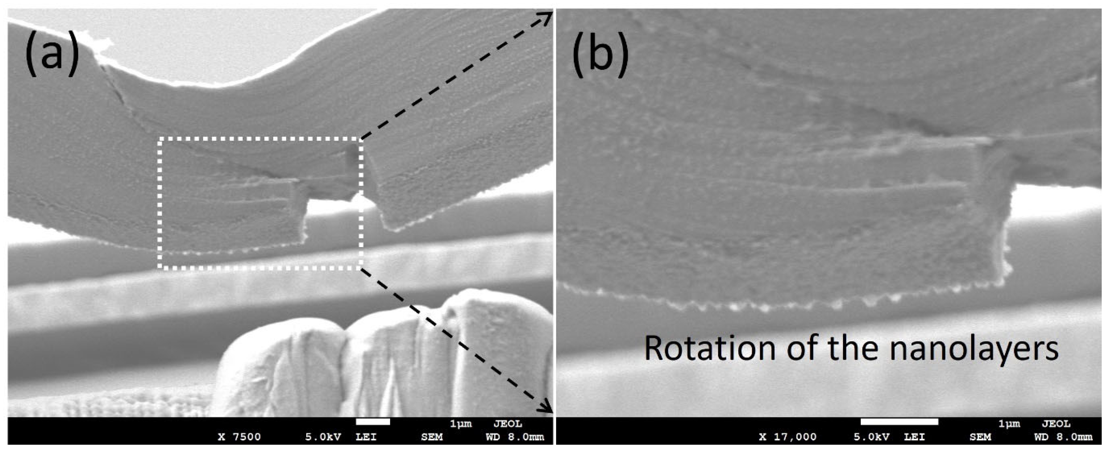 Nanomaterials 15 01528 g009