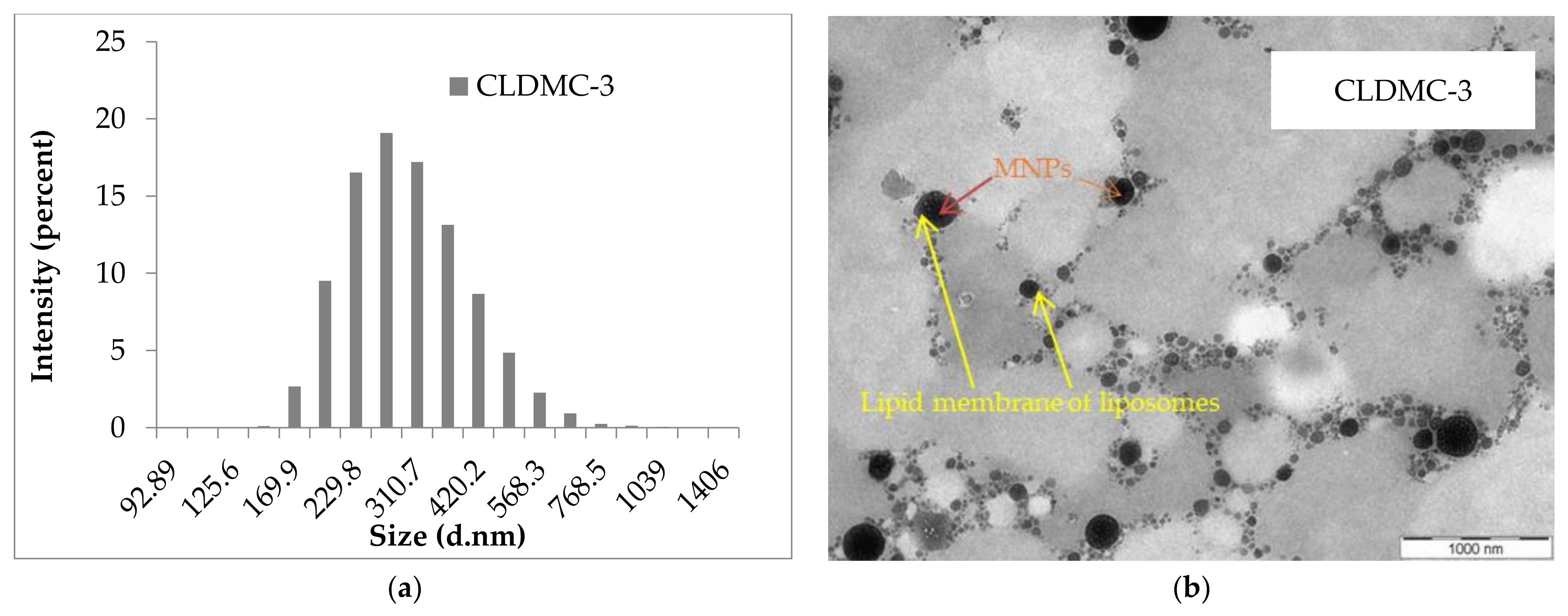 Nanomaterials 15 01529 g001 Nanomaterials 15 01529 g001