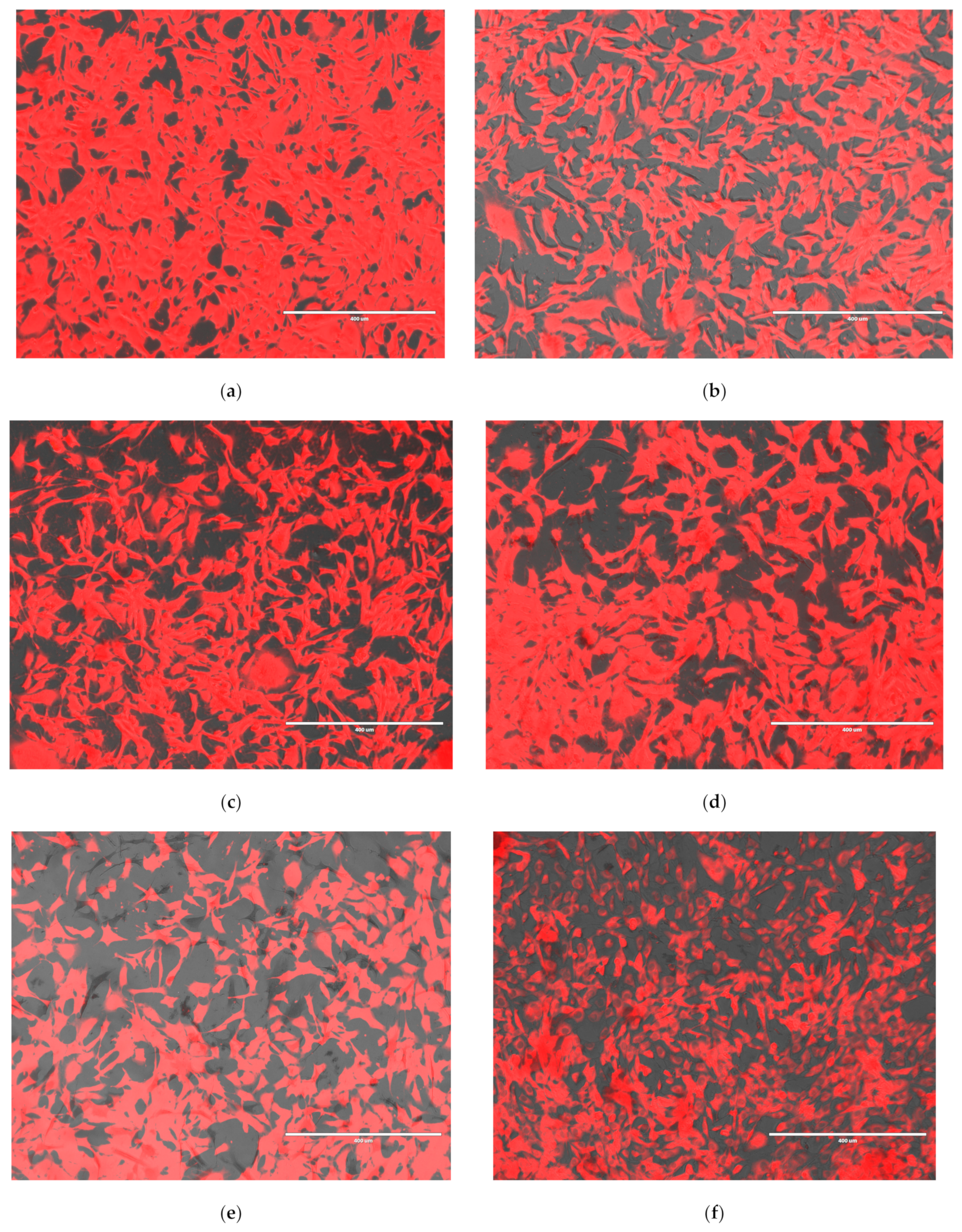 Nanomaterials 15 01529 g013a Nanomaterials 15 01529 g013a