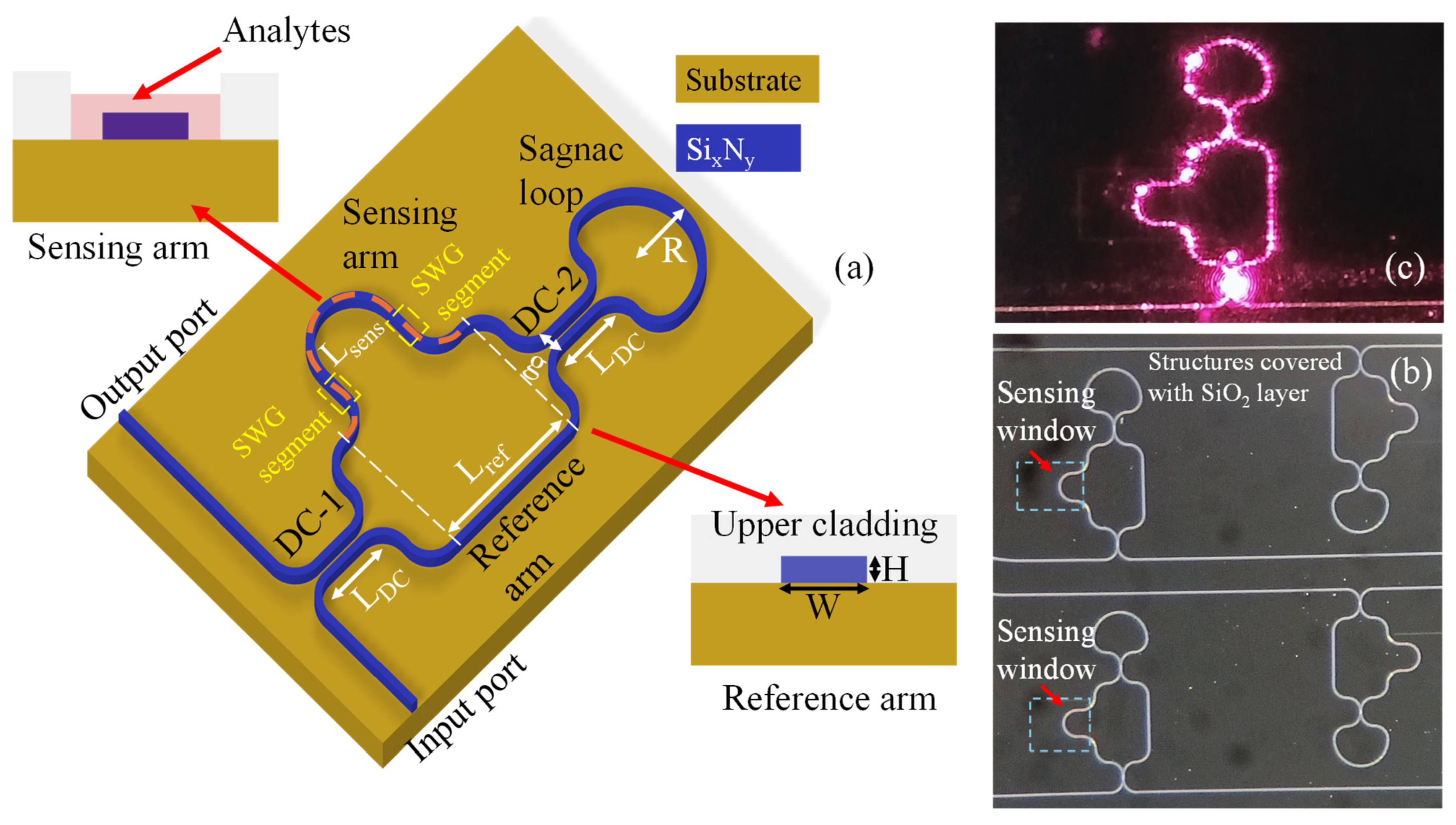 Nanomaterials 15 01532 g001 Nanomaterials 15 01532 g001