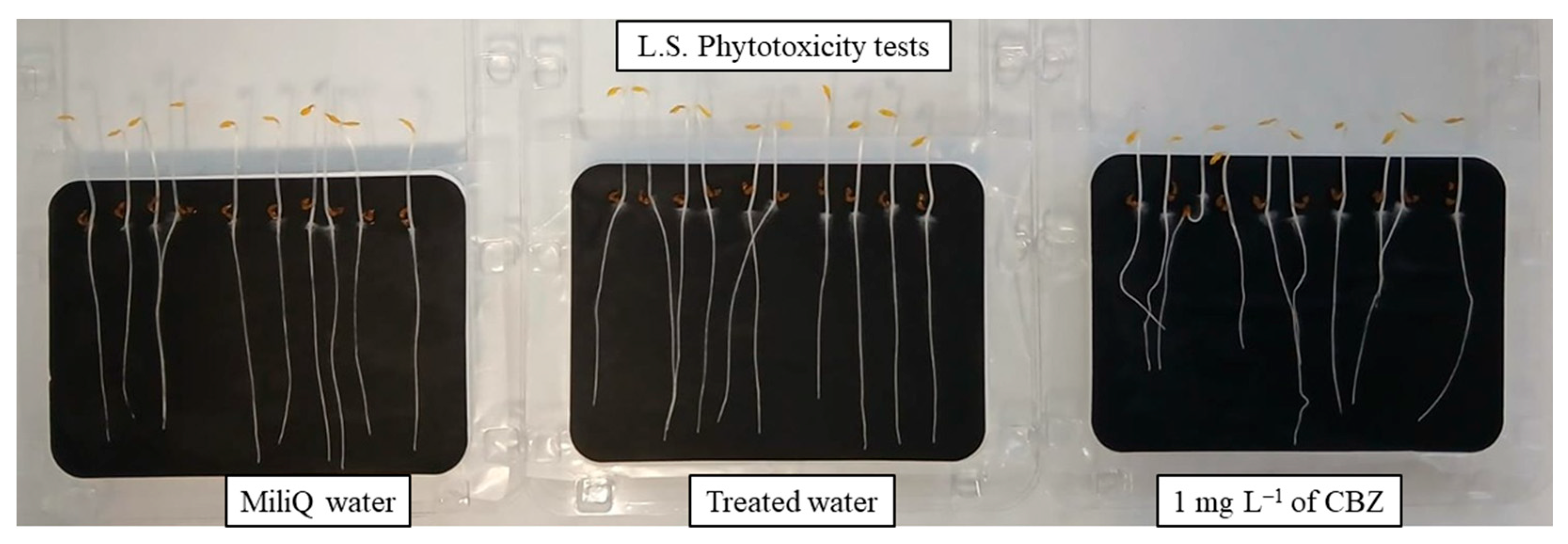 Nanomaterials 15 01533 g014 Nanomaterials 15 01533 g014