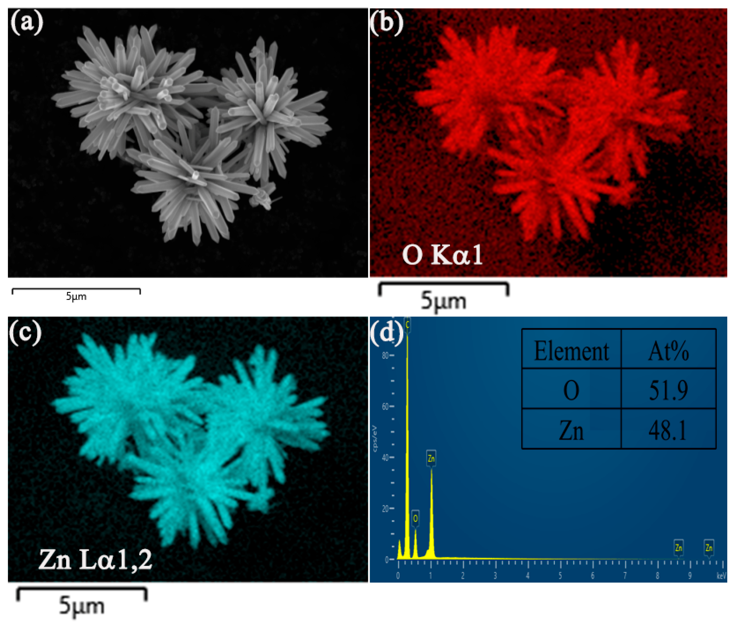 Nanomaterials 15 01536 g003