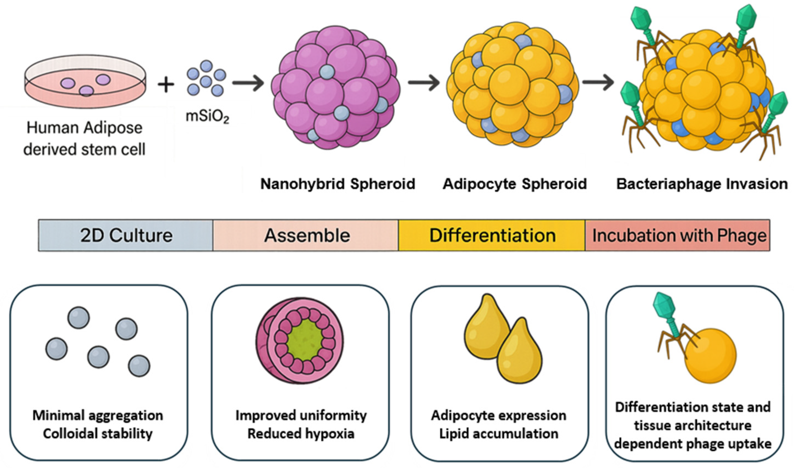 Nanomaterials 15 01537 g001