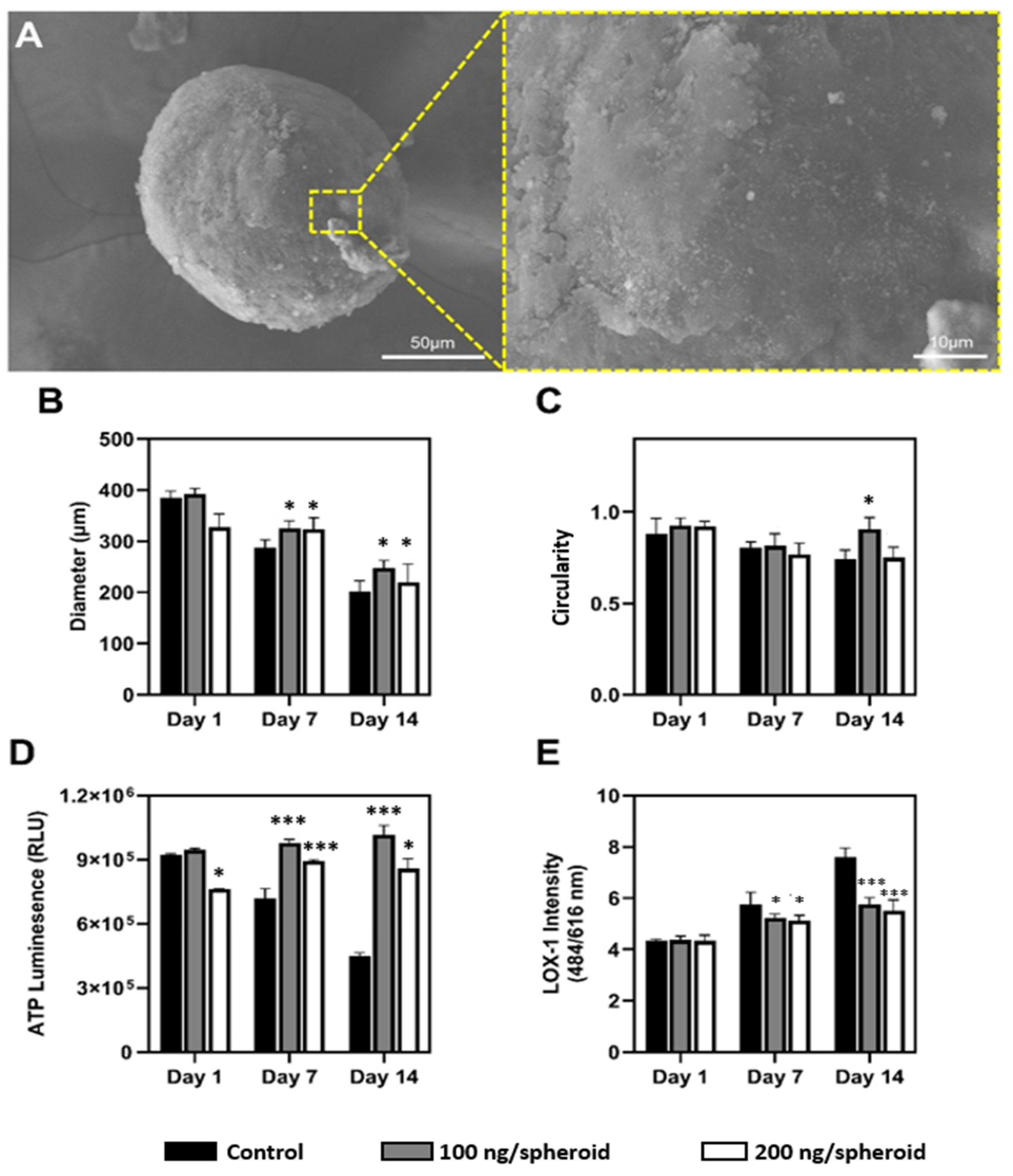 Nanomaterials 15 01537 g002