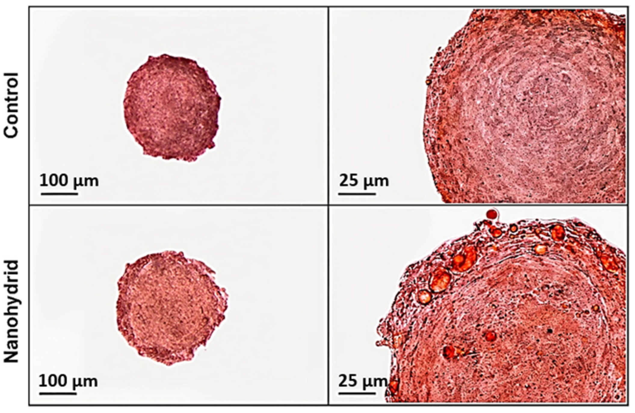 Nanomaterials 15 01537 g003