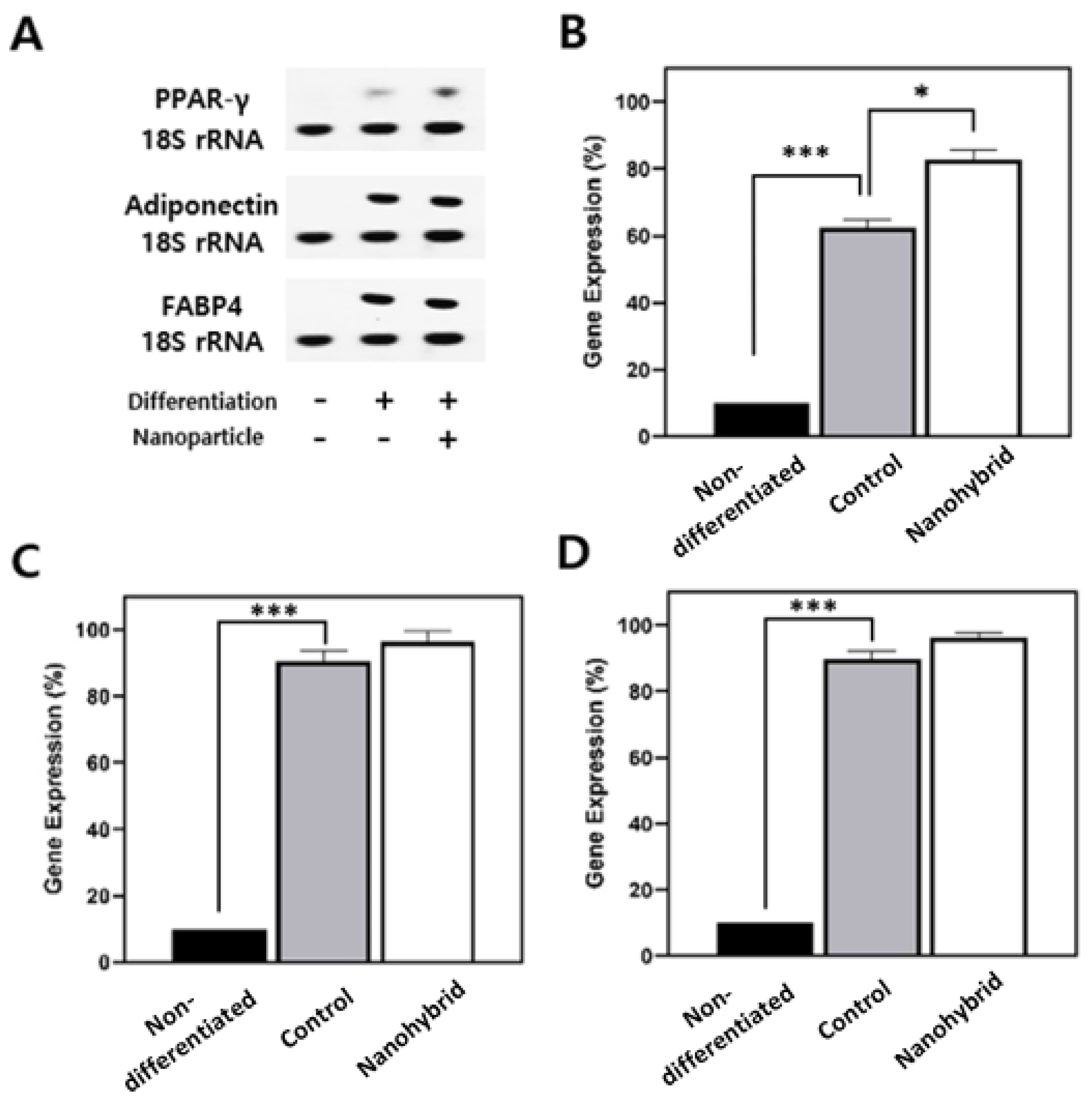 Nanomaterials 15 01537 g004