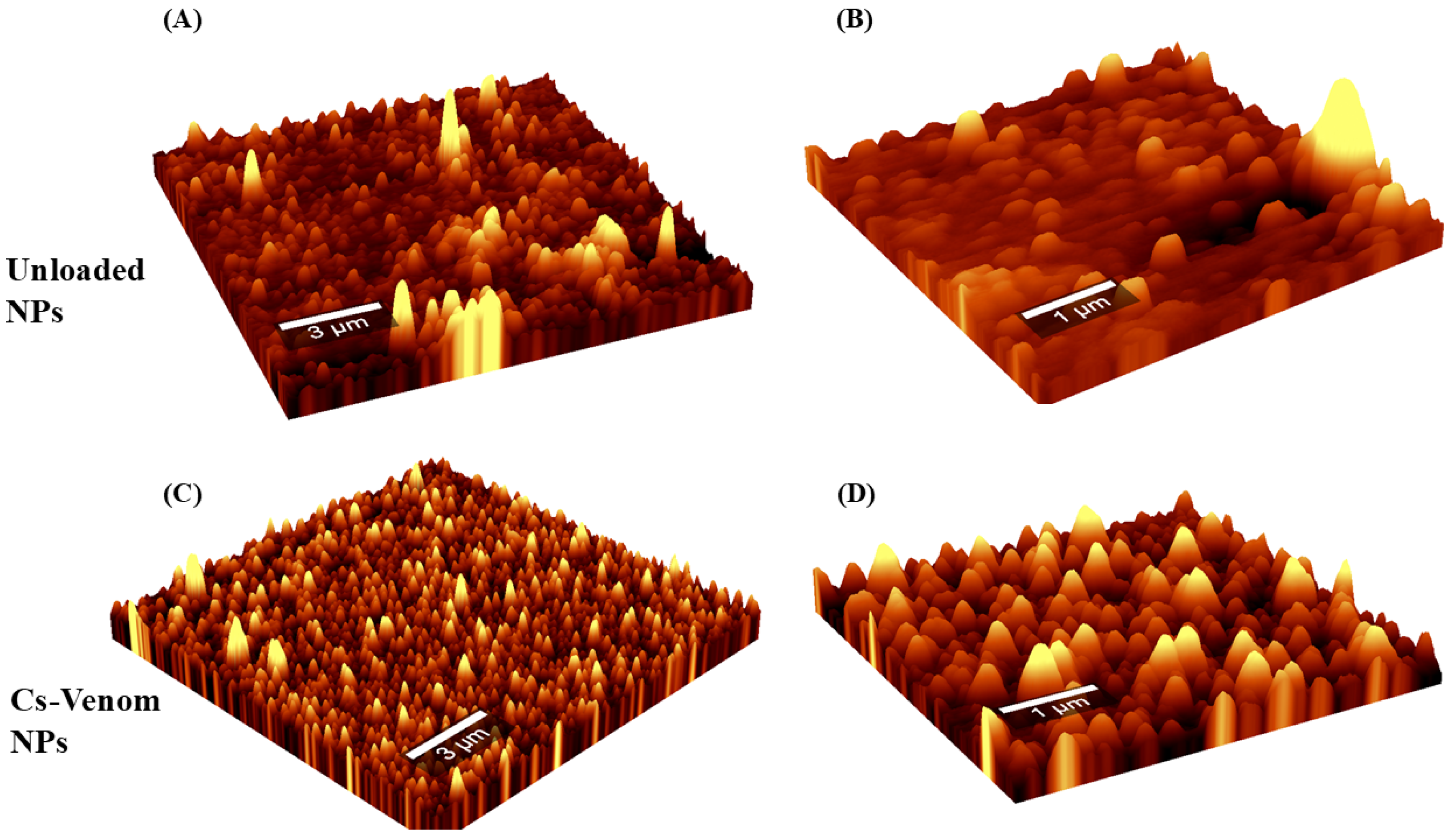 Nanomaterials 15 01538 g003