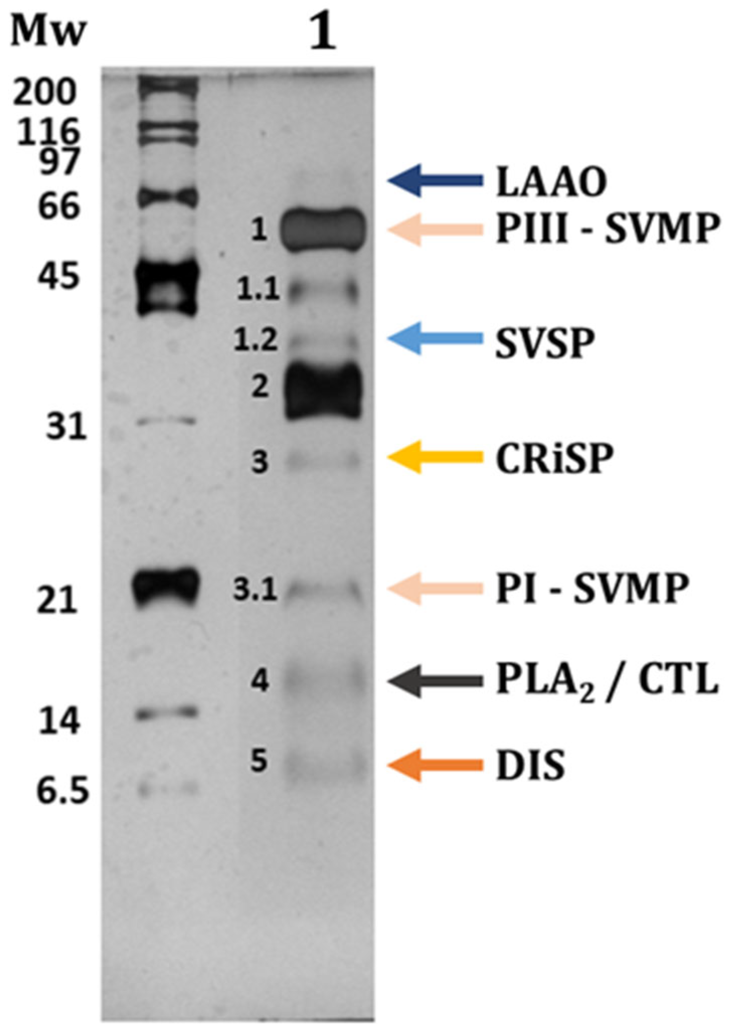 Nanomaterials 15 01538 g005