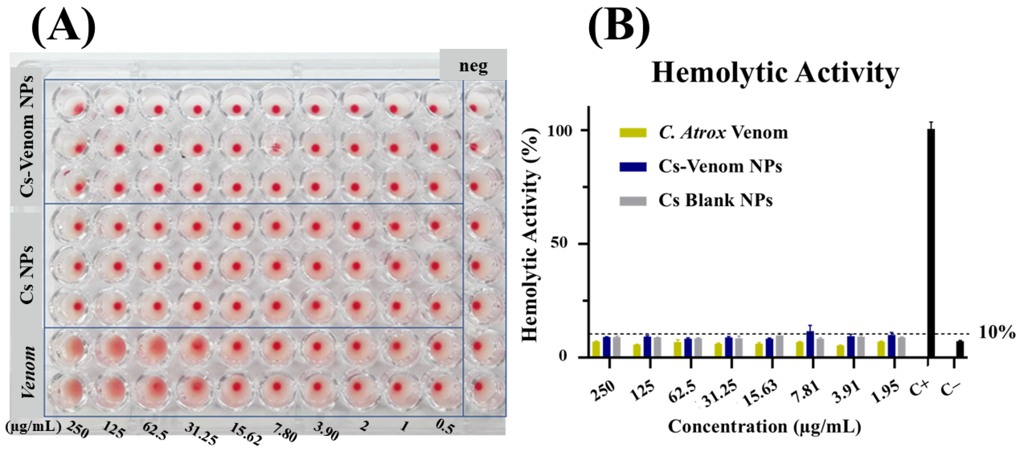 Nanomaterials 15 01538 g006