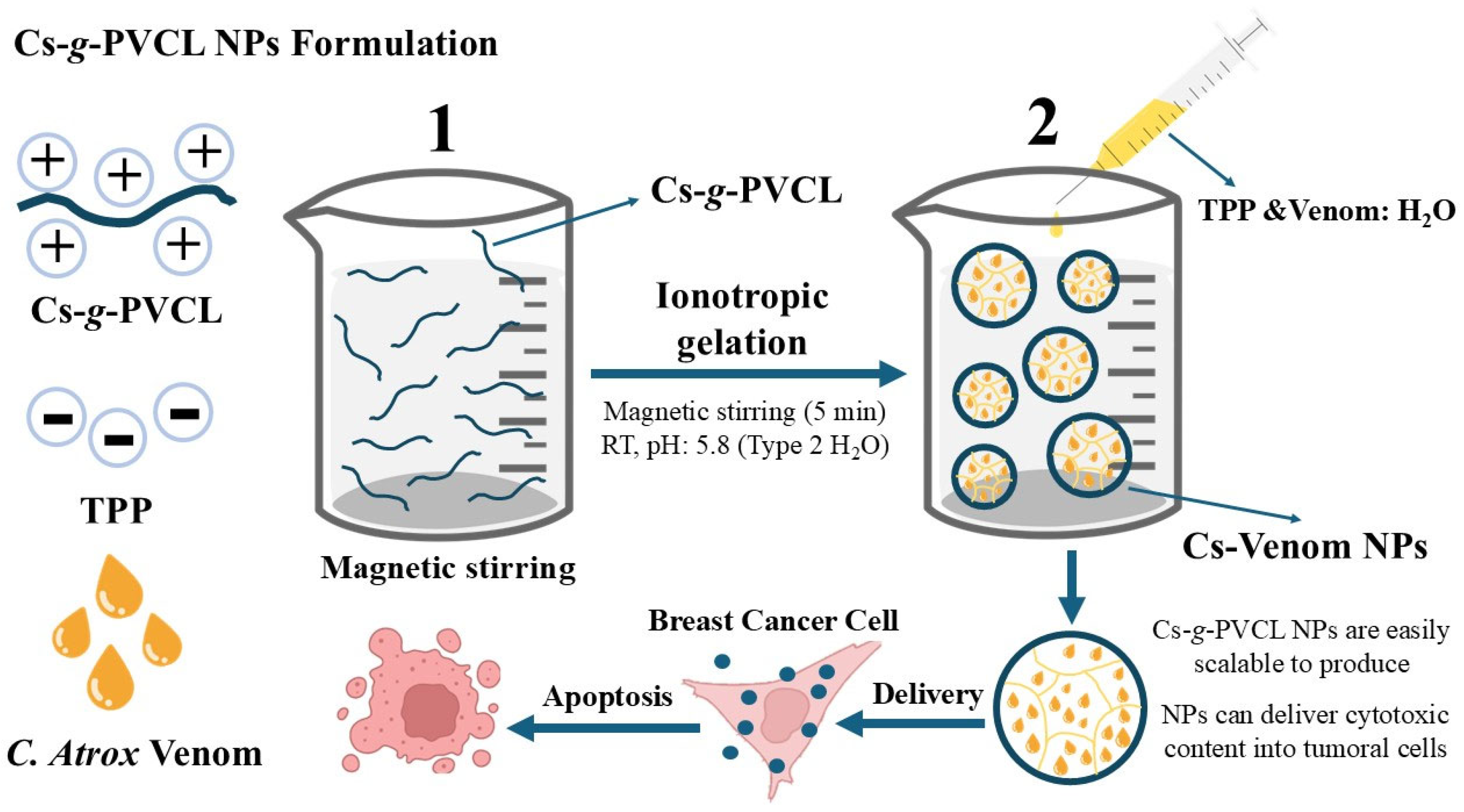 Nanomaterials 15 01538 sch001