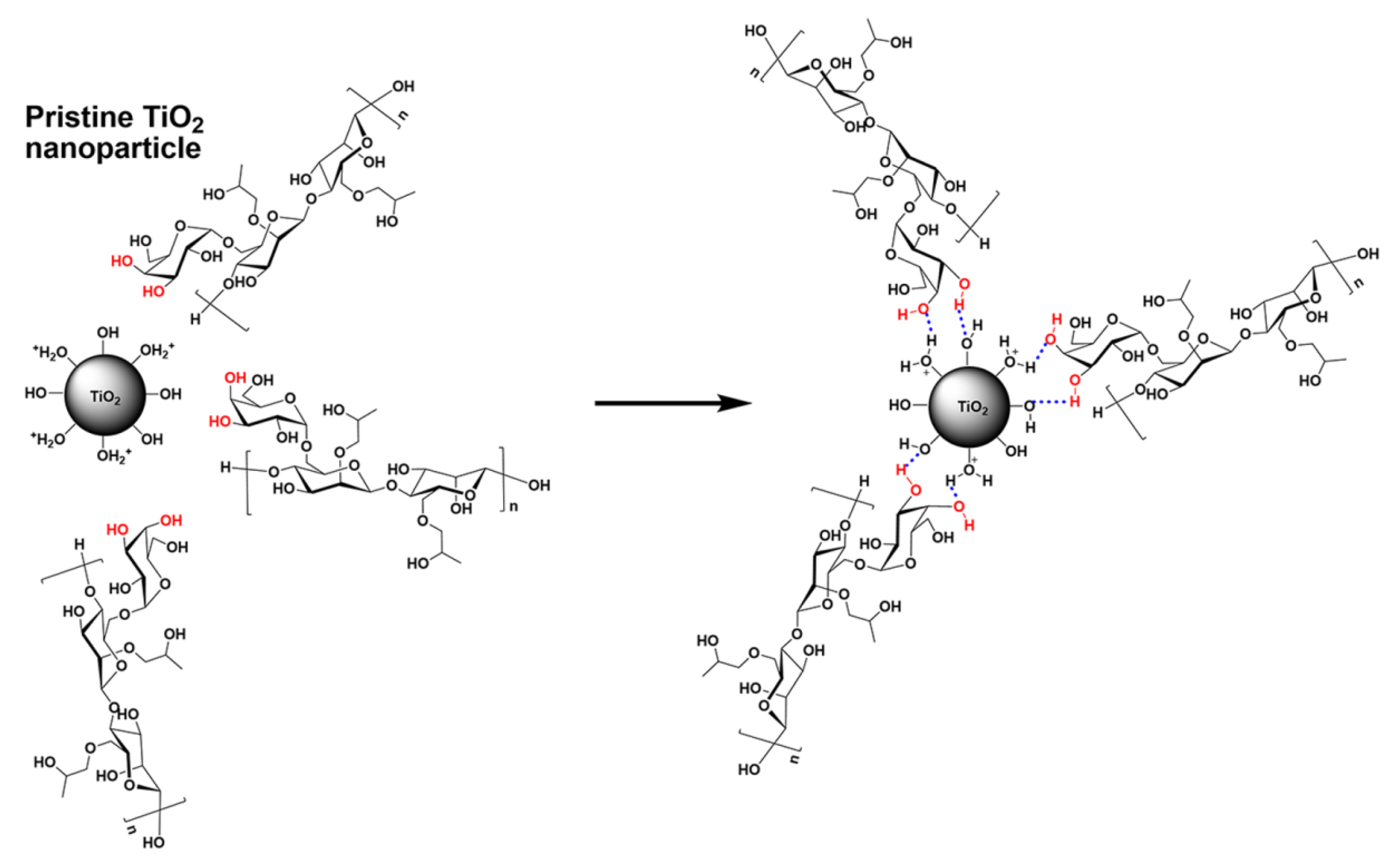 Nanomaterials 15 01539 g002 Nanomaterials 15 01539 g002
