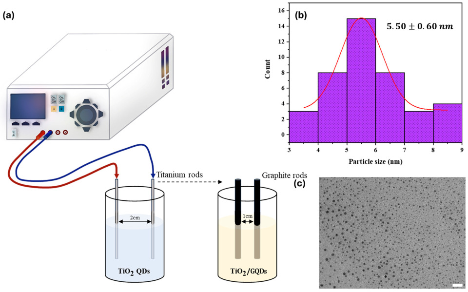 Nanomaterials 15 01543 g001
