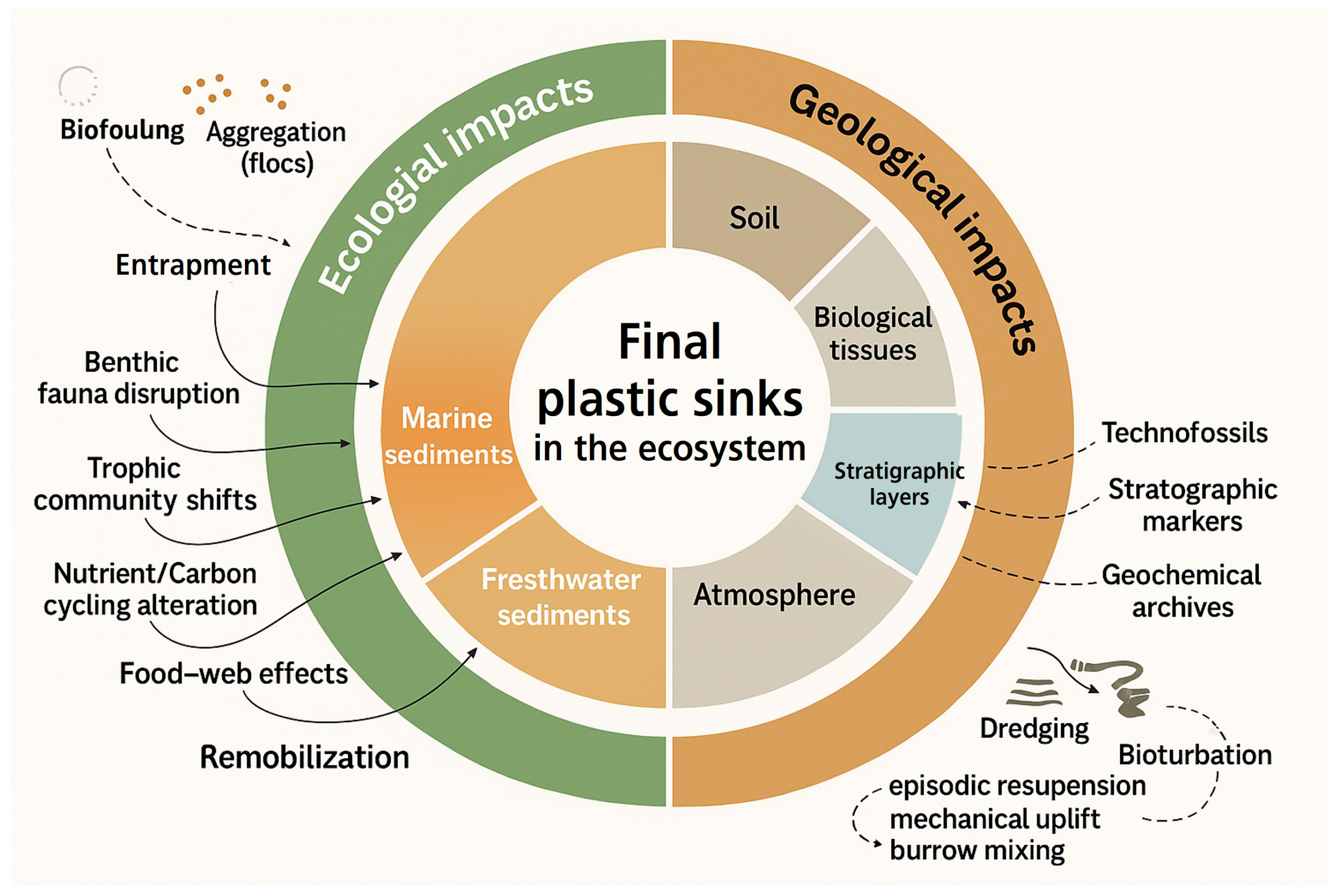 Nanomaterials 15 01546 g003 Nanomaterials 15 01546 g003