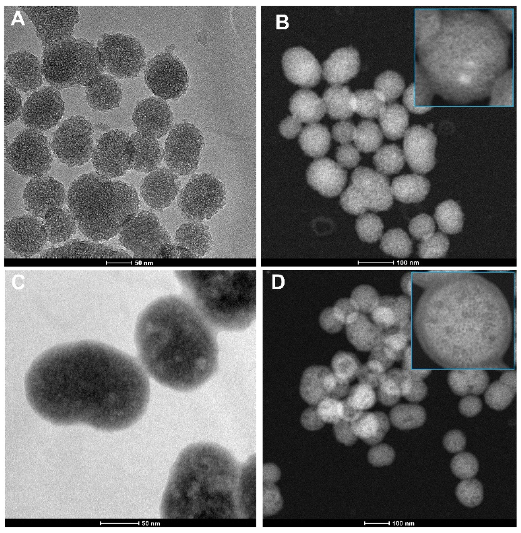 Nanomaterials 15 01547 g001 Nanomaterials 15 01547 g001