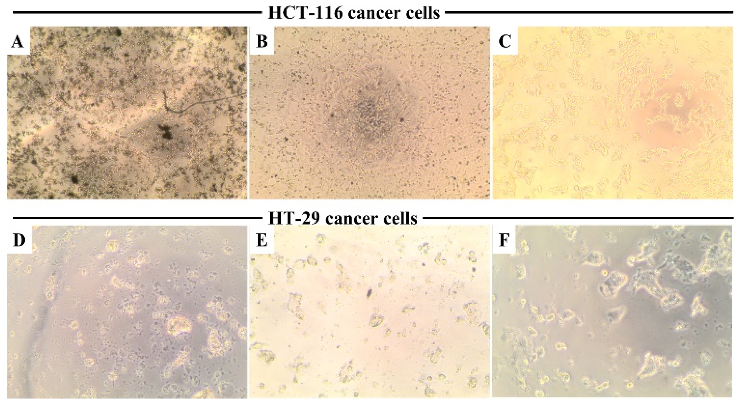 Nanomaterials 15 01547 g009 Nanomaterials 15 01547 g009