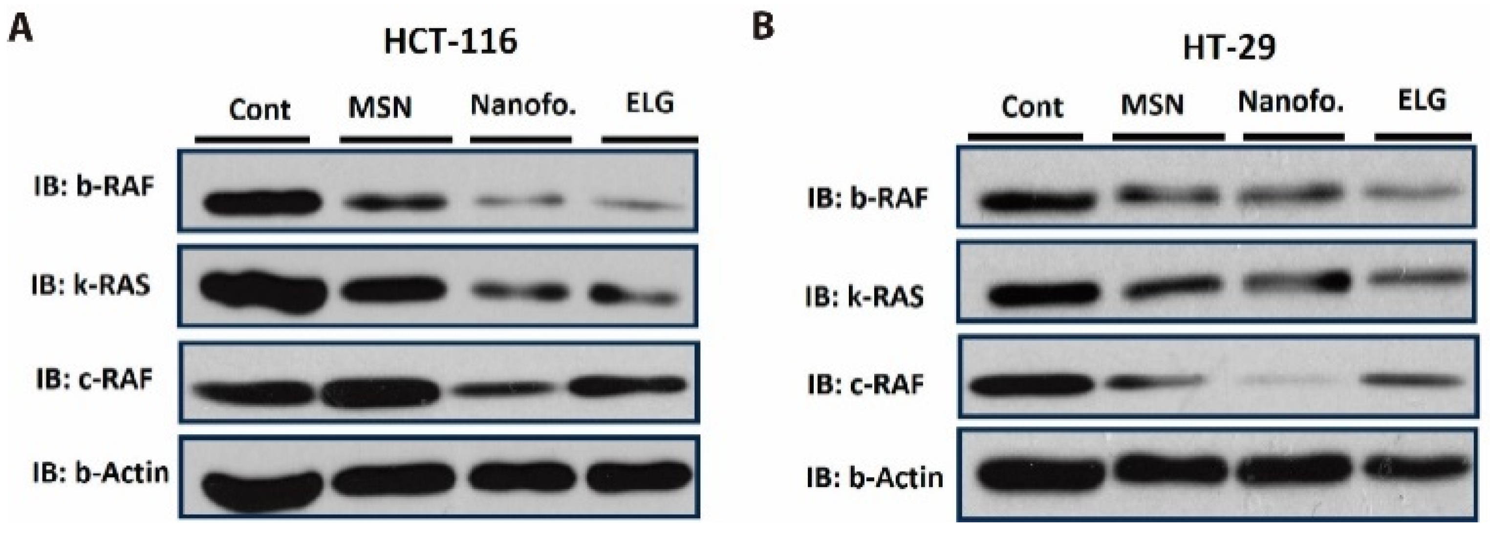 Nanomaterials 15 01547 g011 Nanomaterials 15 01547 g011