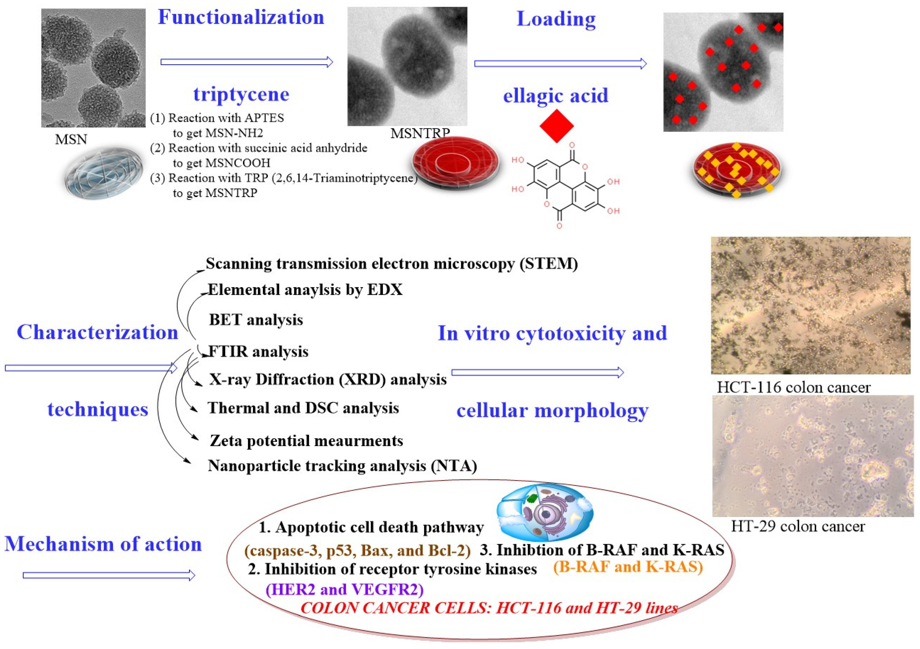 Nanomaterials 15 01547 sch001 Nanomaterials 15 01547 sch001