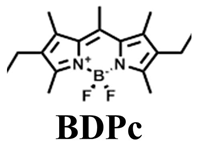 Nanomaterials 15 01549 i001