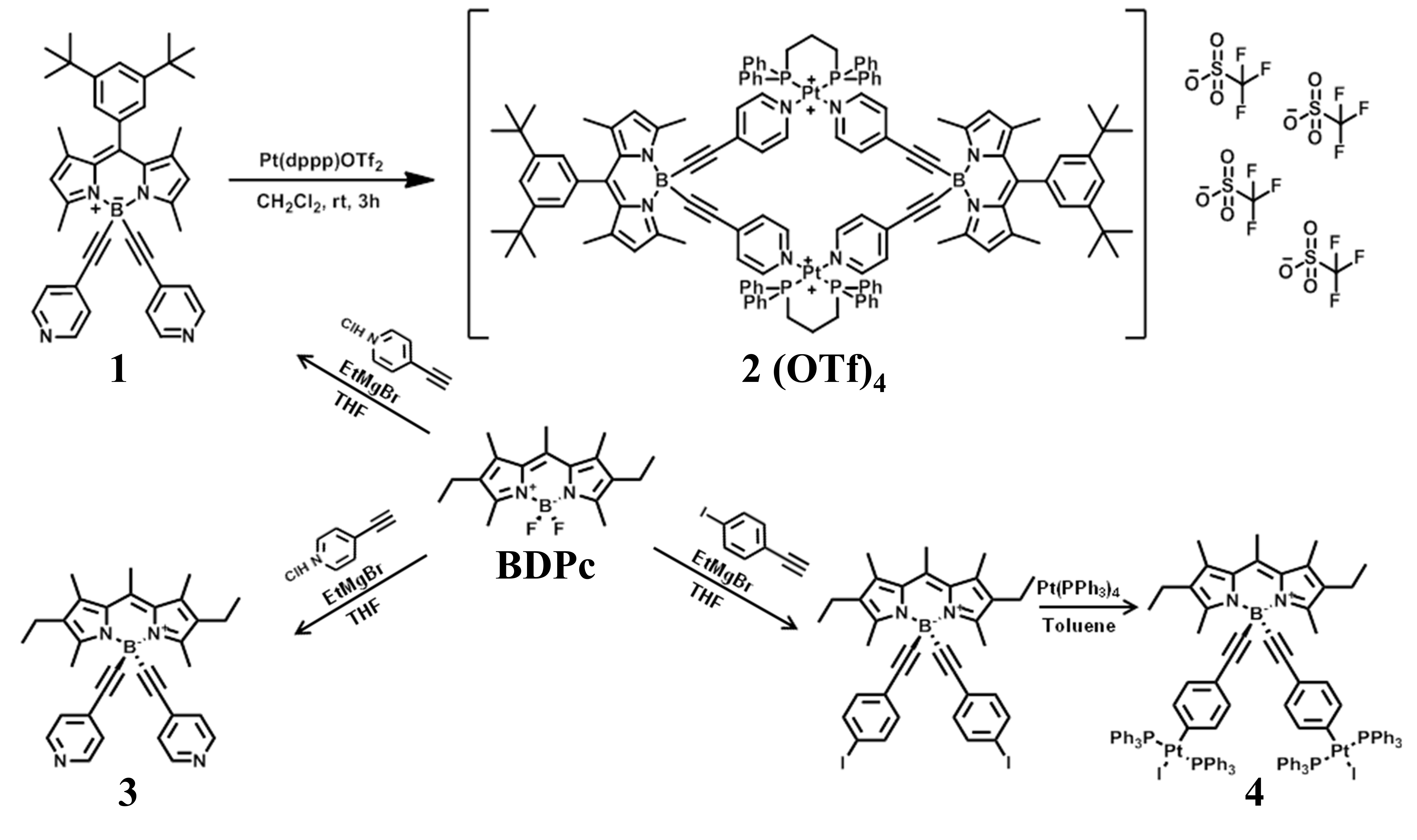 Nanomaterials 15 01549 sch001