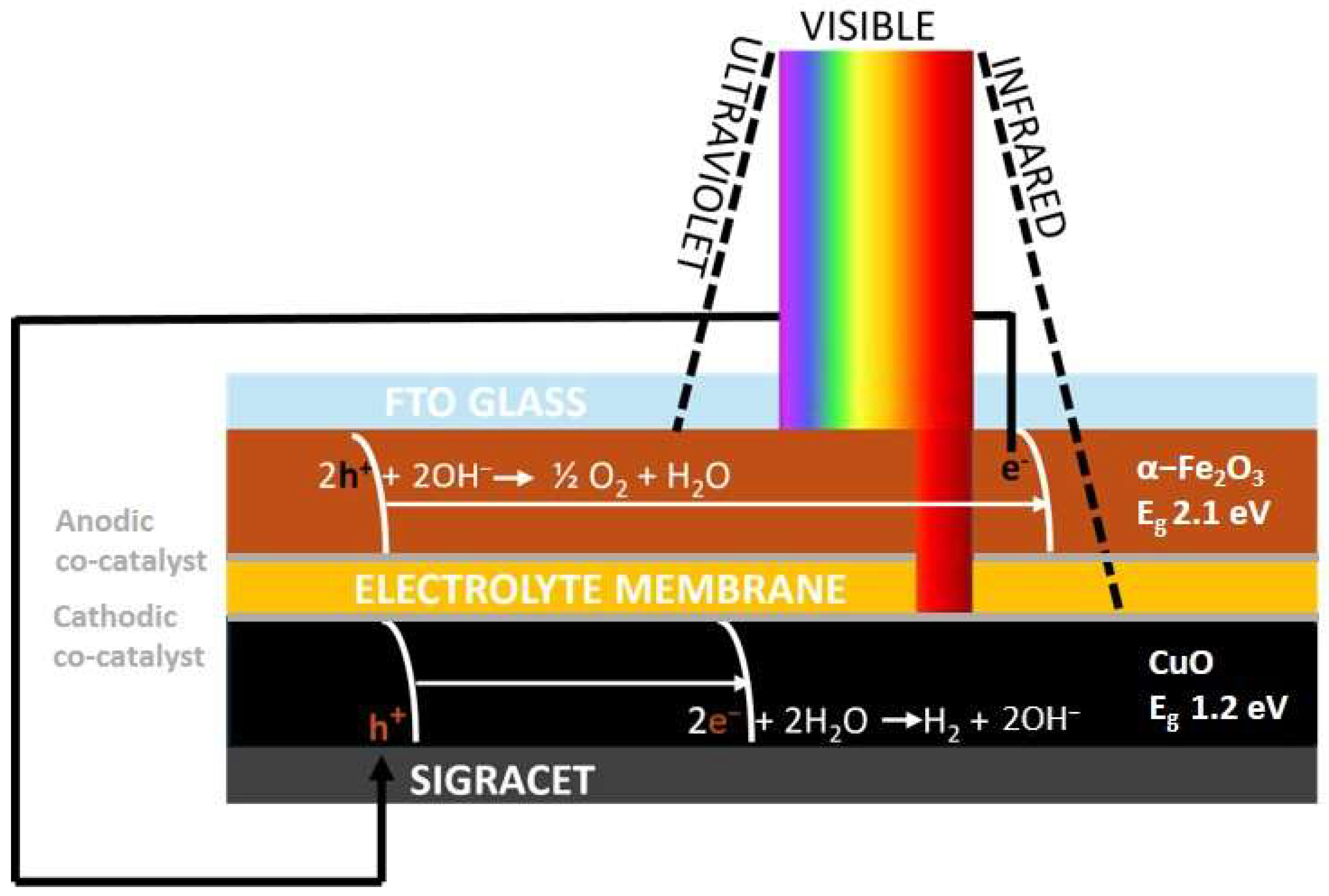 Nanomaterials 15 01551 g001