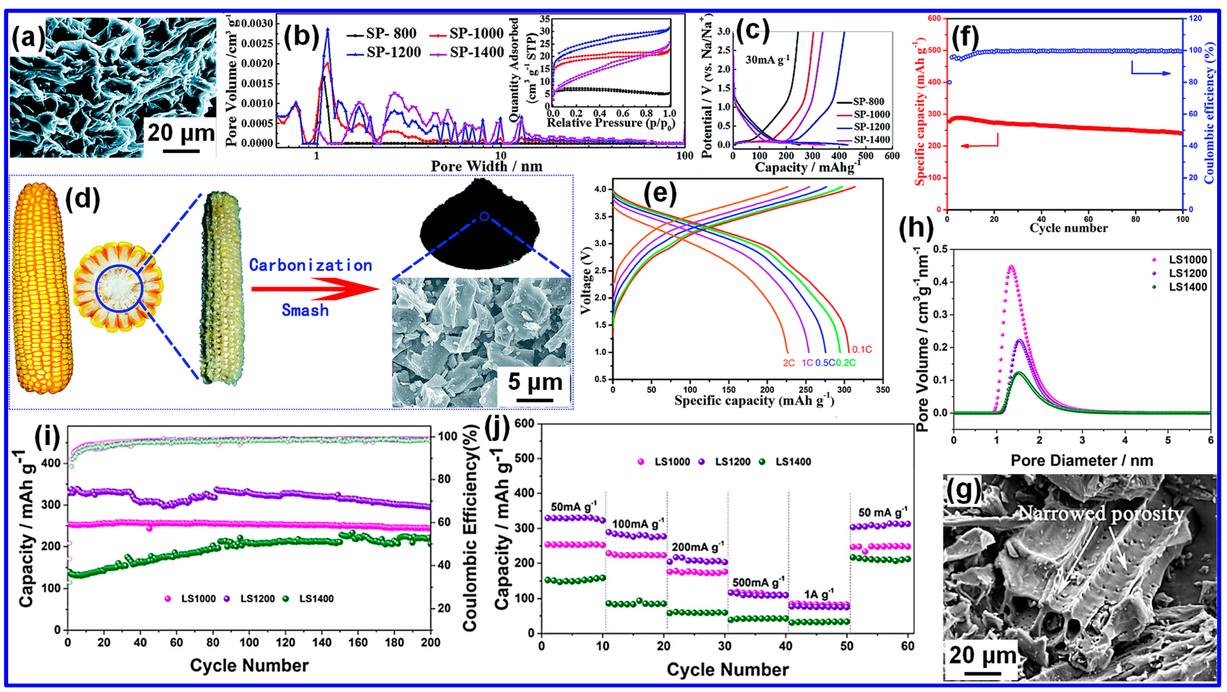 Nanomaterials 15 01554 g004