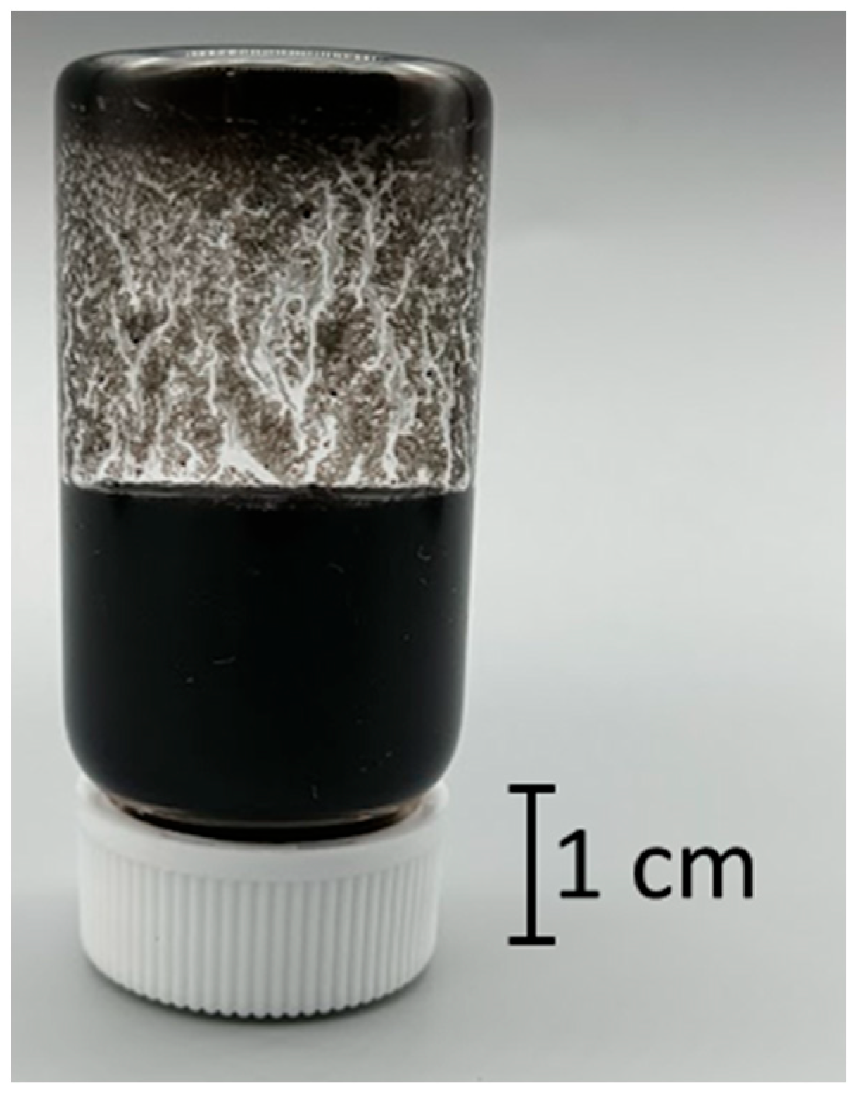 Nanomaterials 15 01556 g005