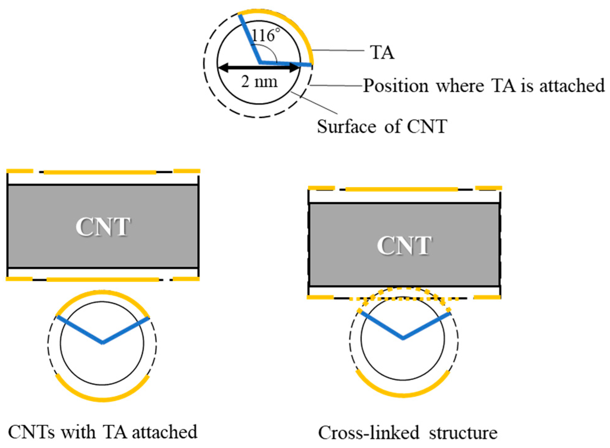 Nanomaterials 15 01556 g008