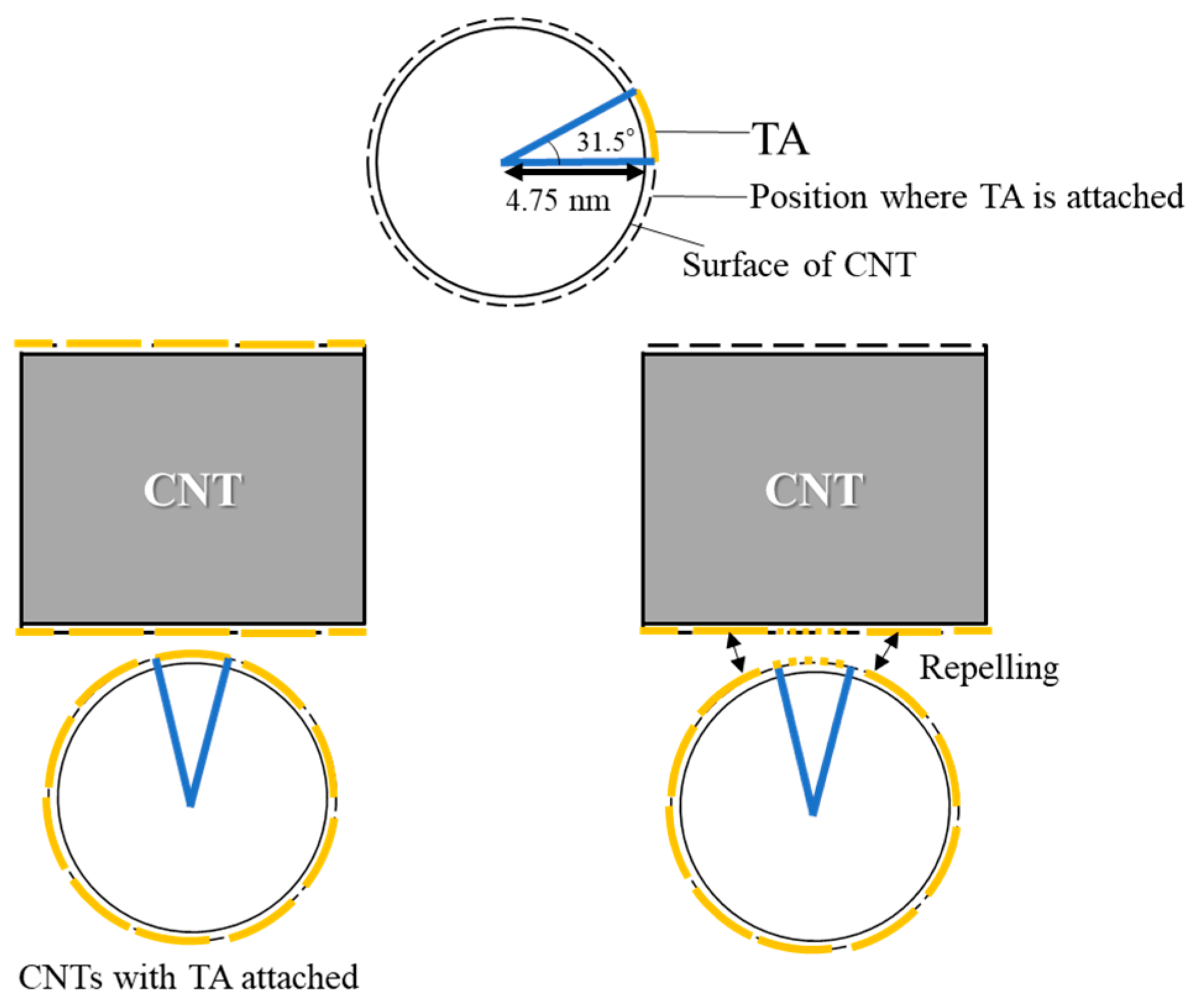 Nanomaterials 15 01556 g010