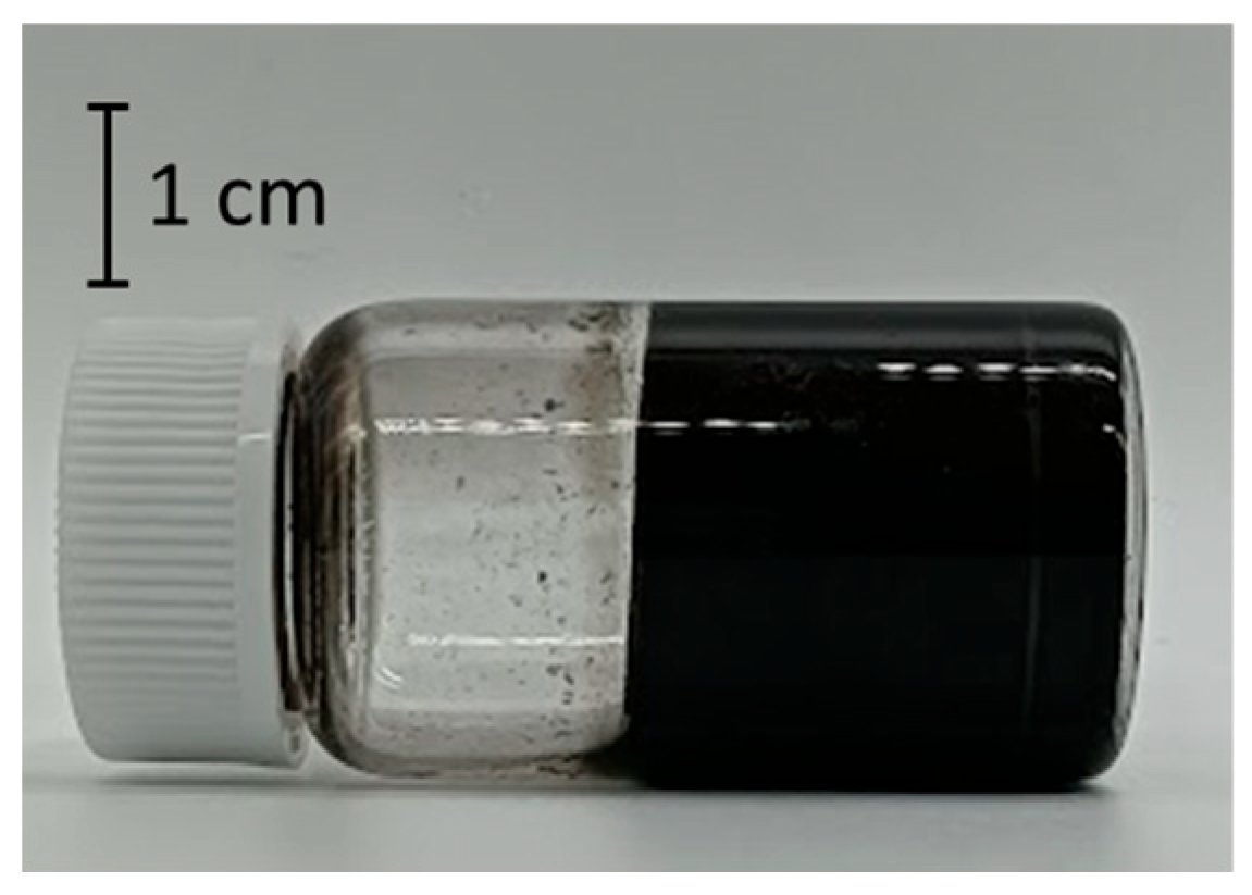 Nanomaterials 15 01556 g011