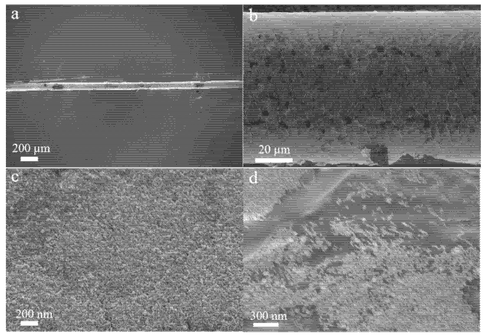 Nanomaterials 15 01557 g001