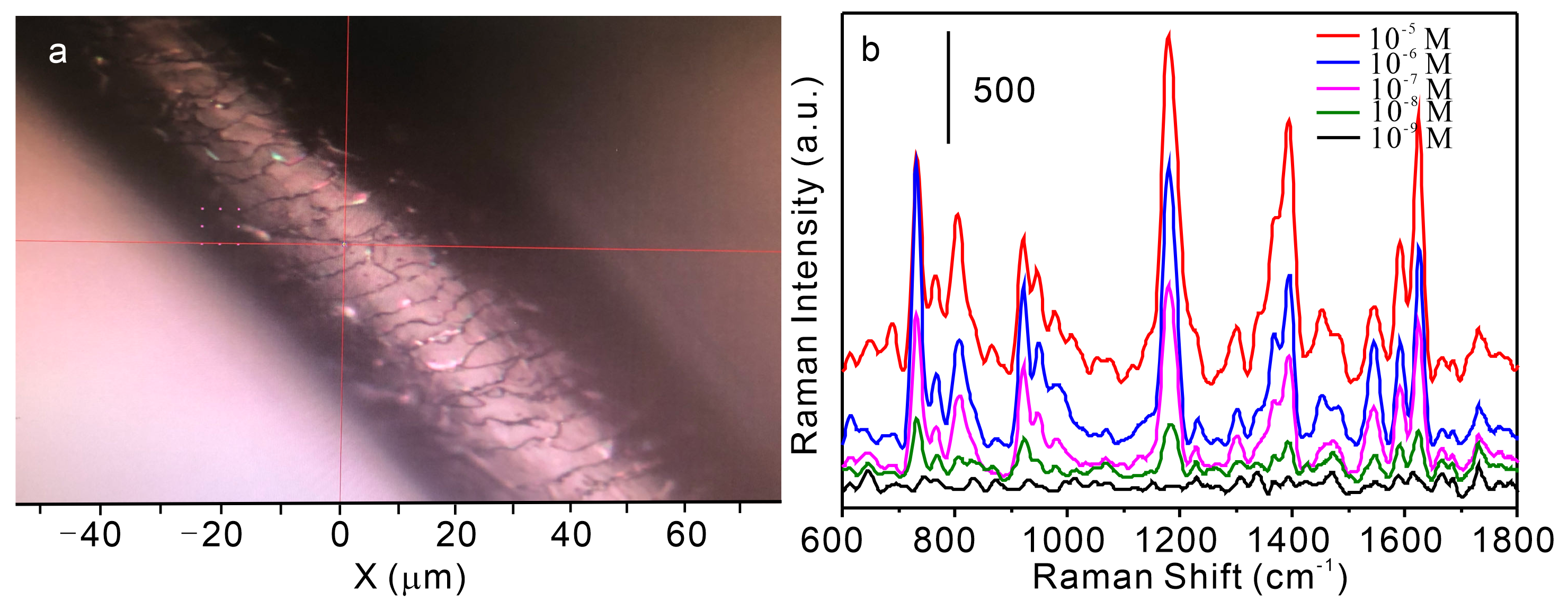 Nanomaterials 15 01557 g003