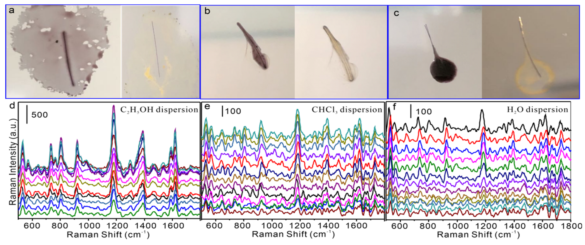 Nanomaterials 15 01557 g004